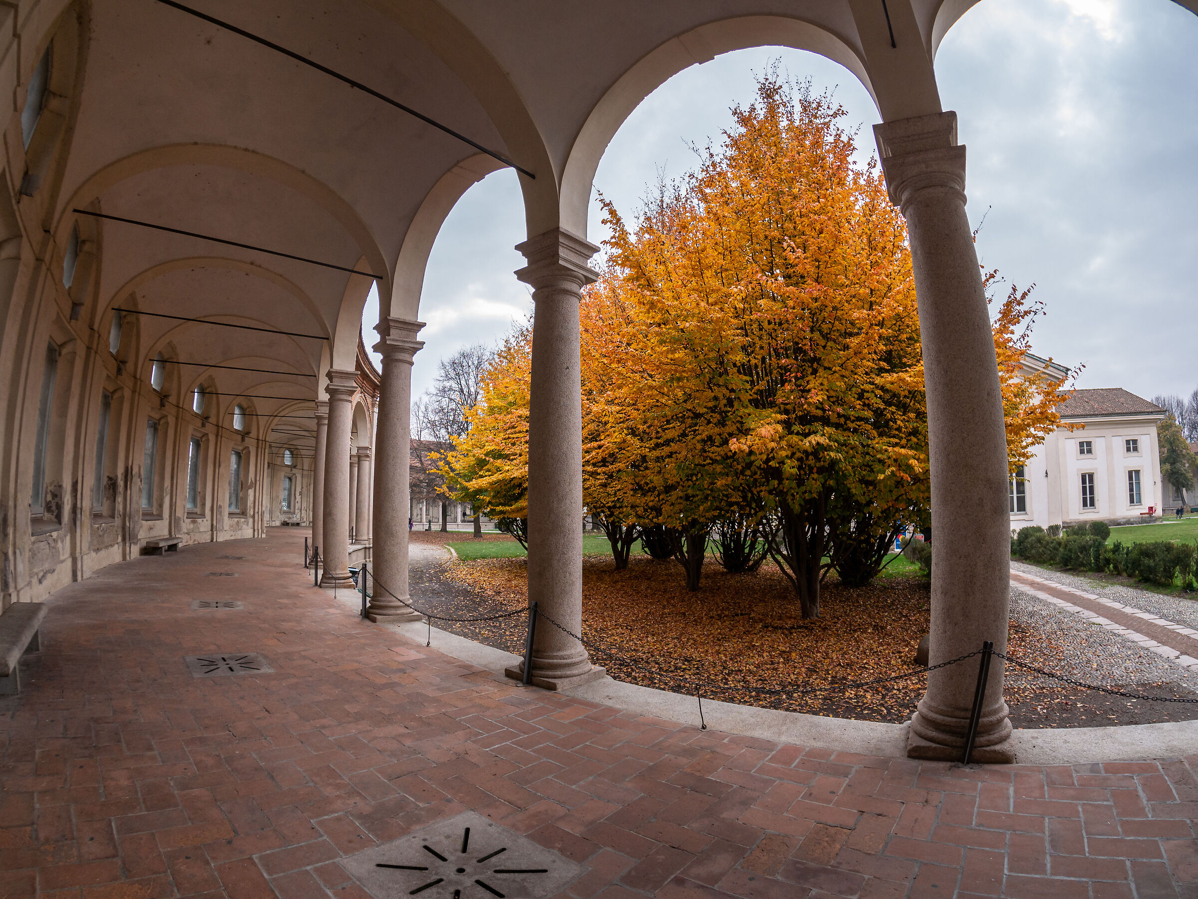Rotonda della Besana - Autumn