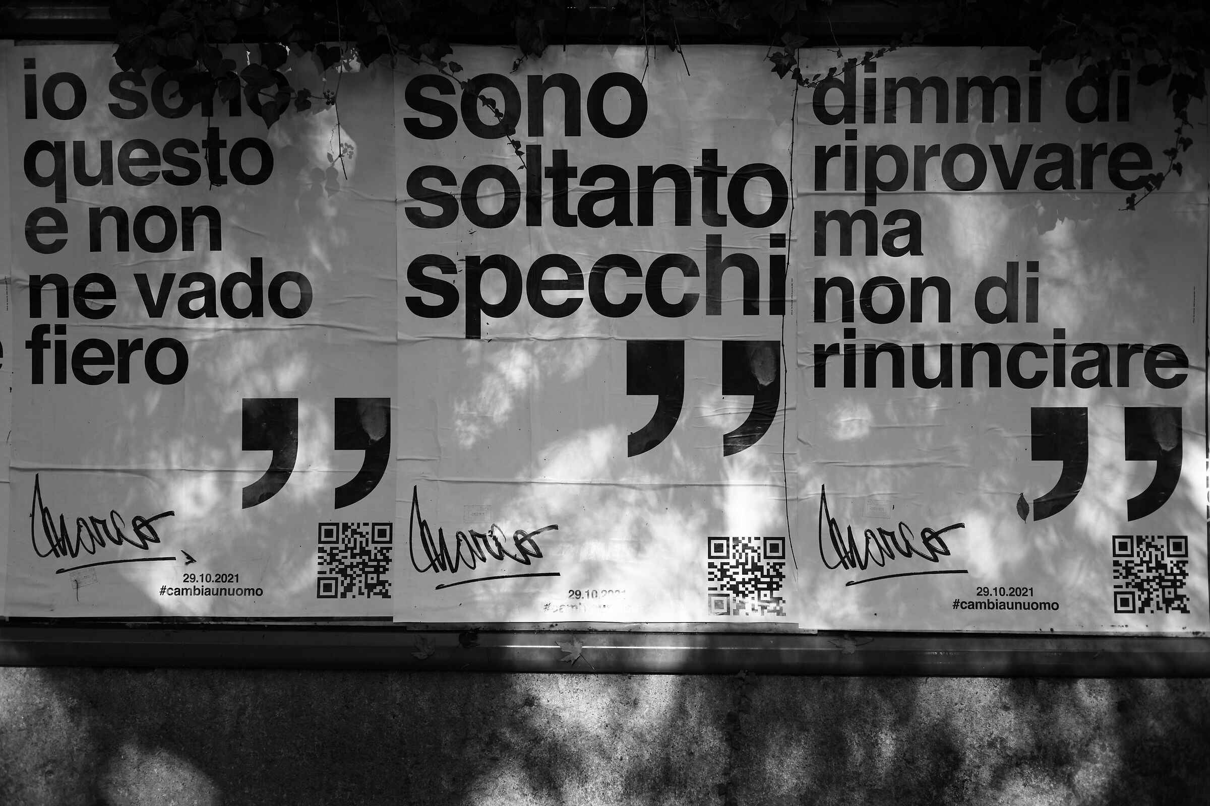 Diatriba Reflex vs. Mirrorless