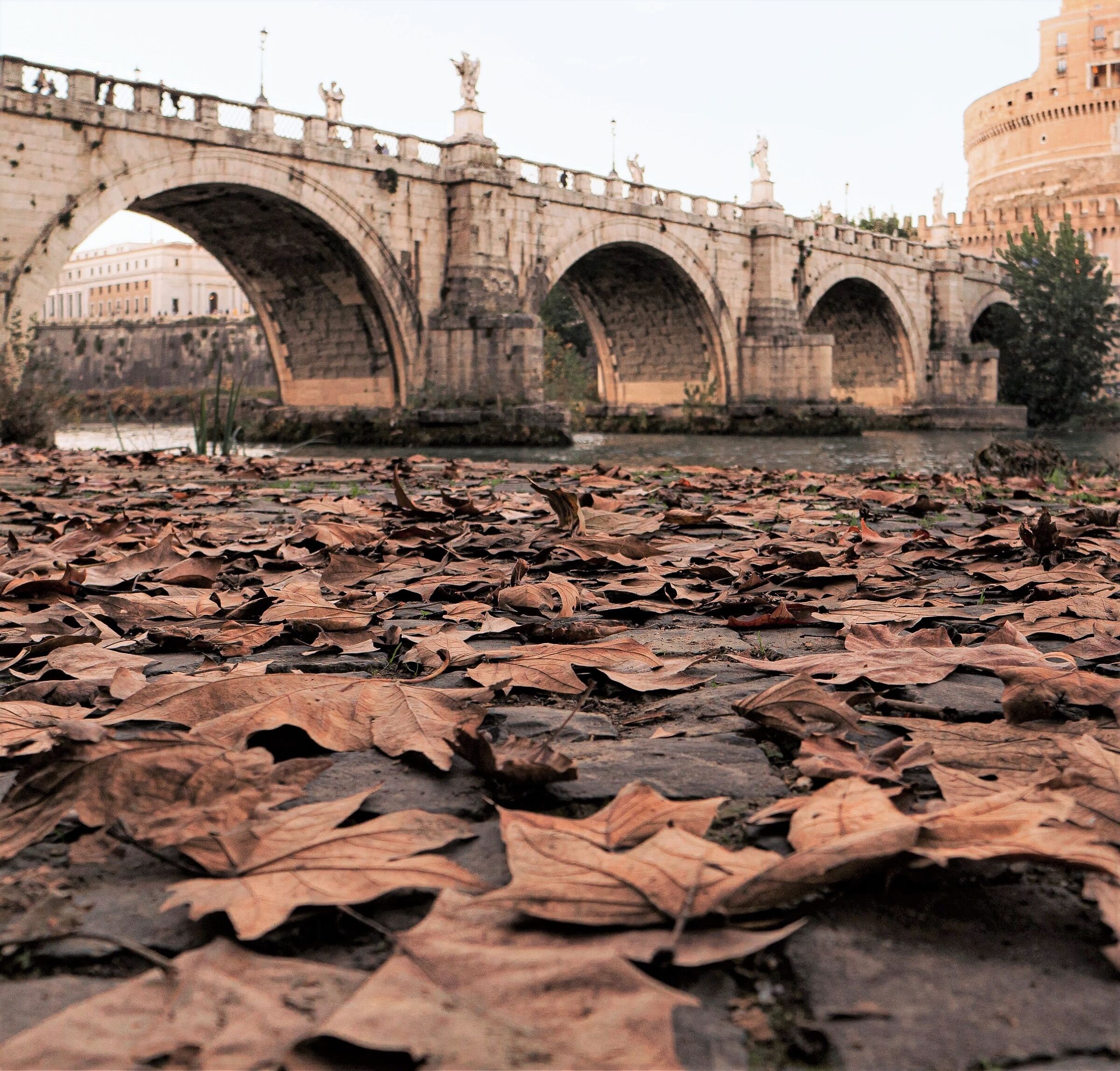 Autunno sul Tevere.