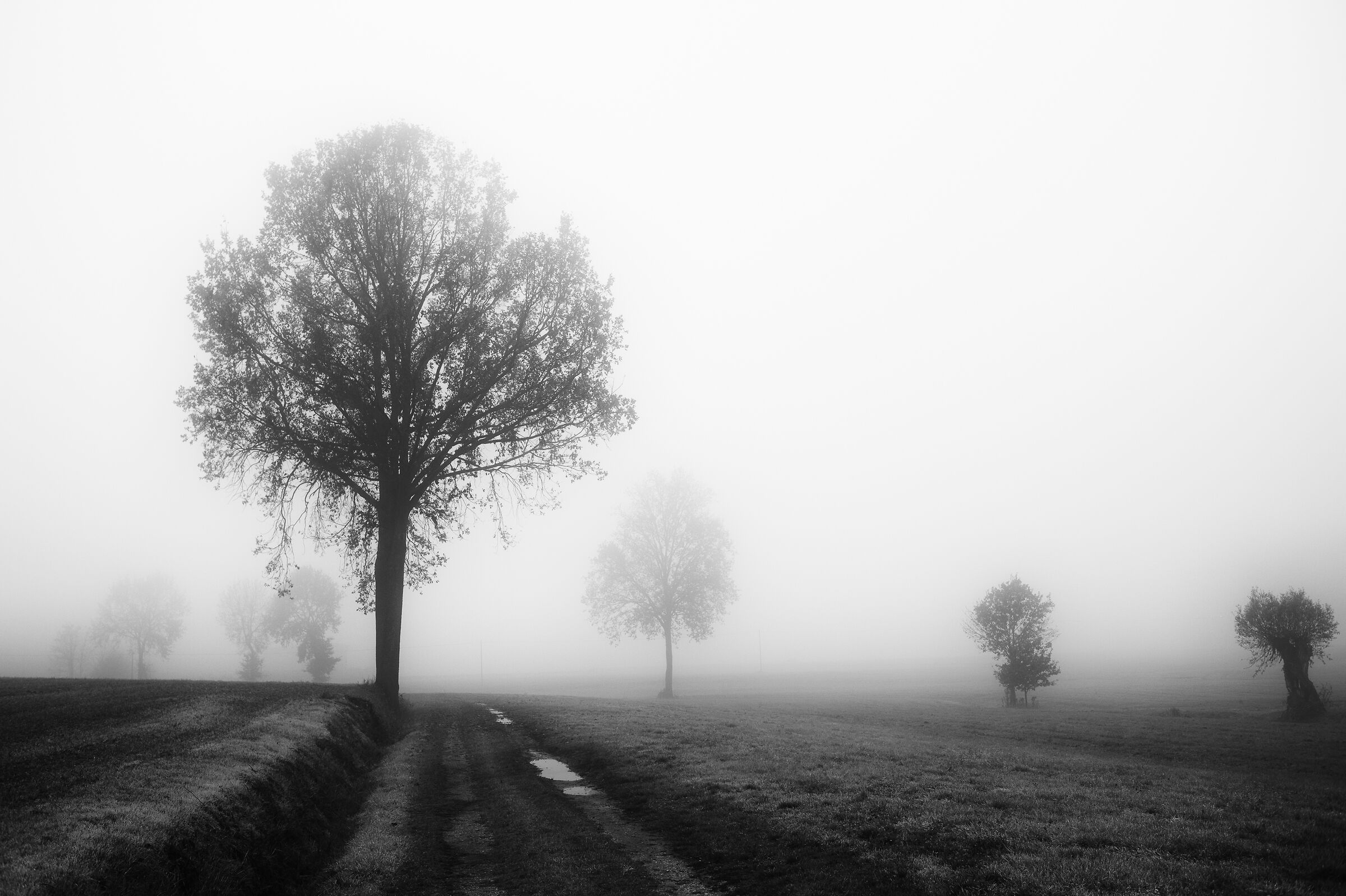 lost souls