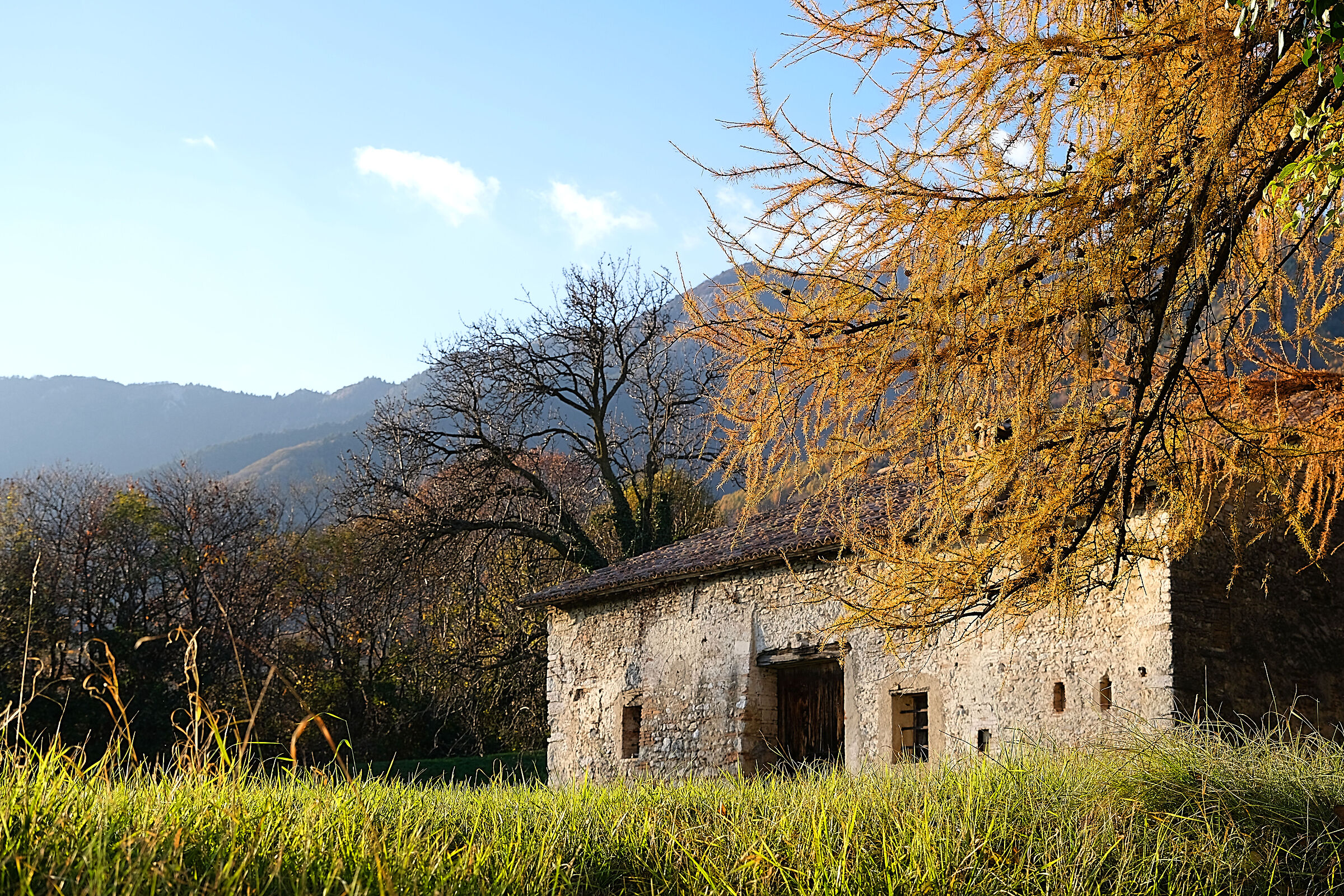 Casetta (non in Canada)