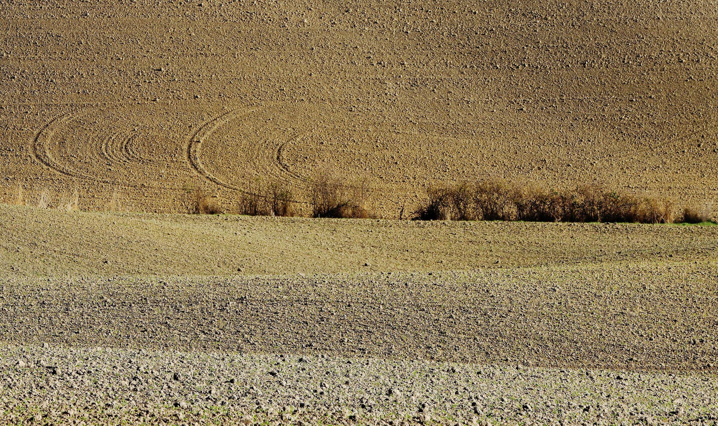 Il meritato riposo...