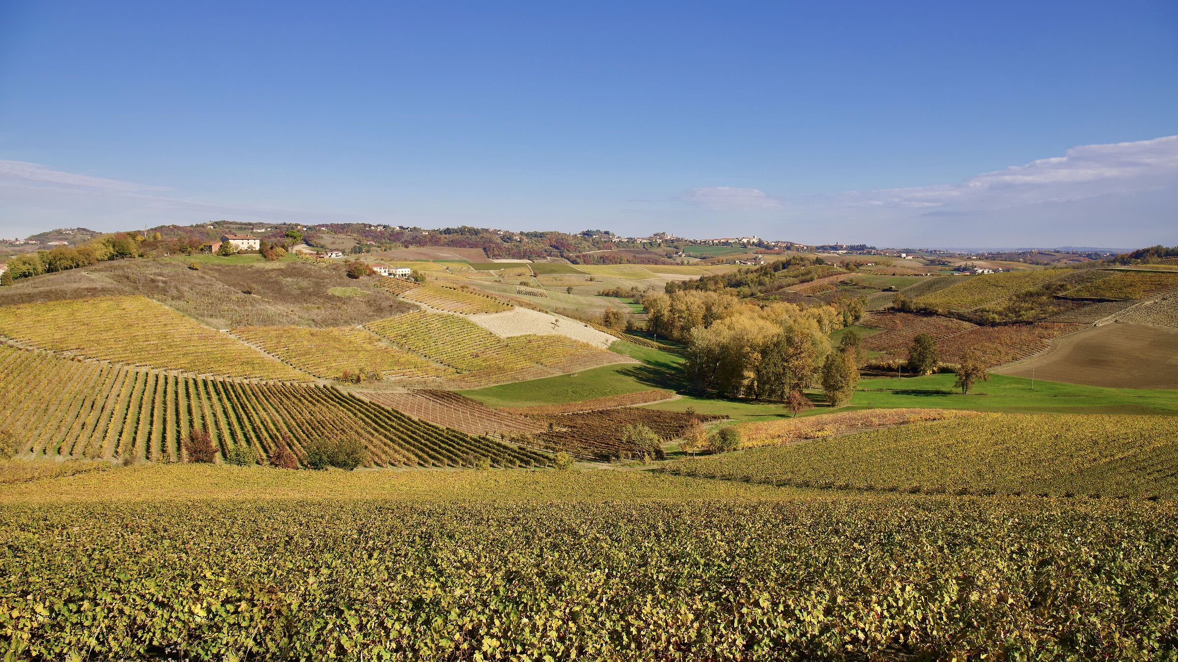 Vigneti monferrini