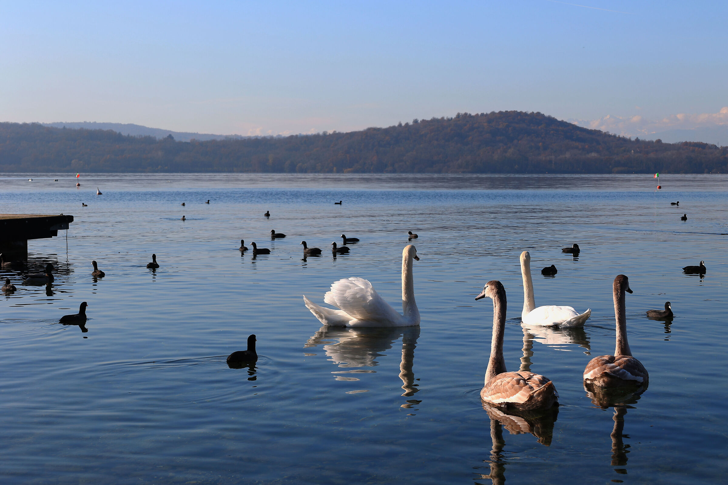 Portrait of a family