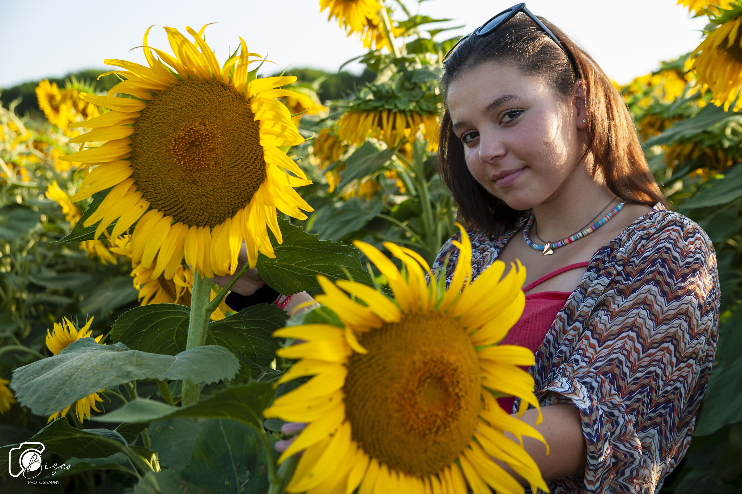 Rebecca among the sunflowers