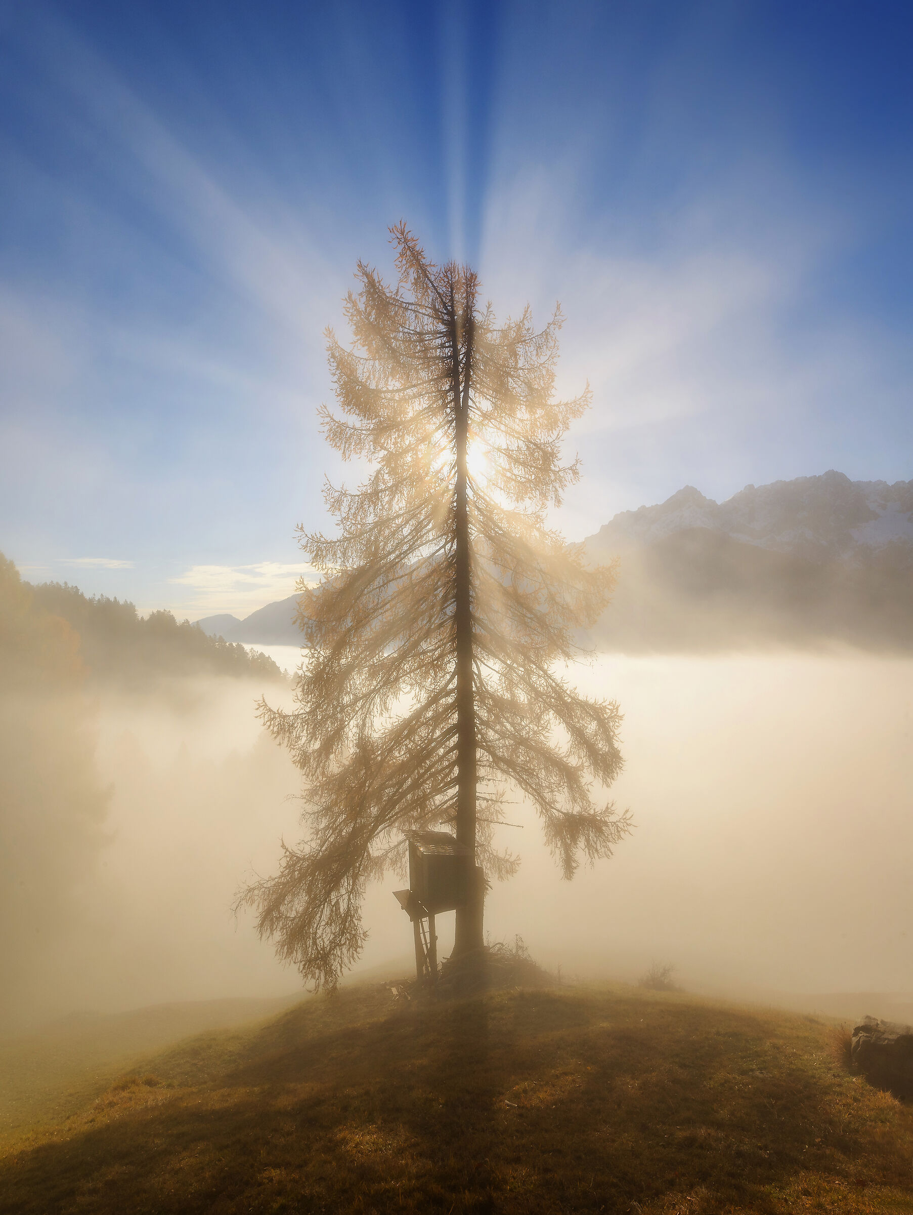 Burst of autumn light