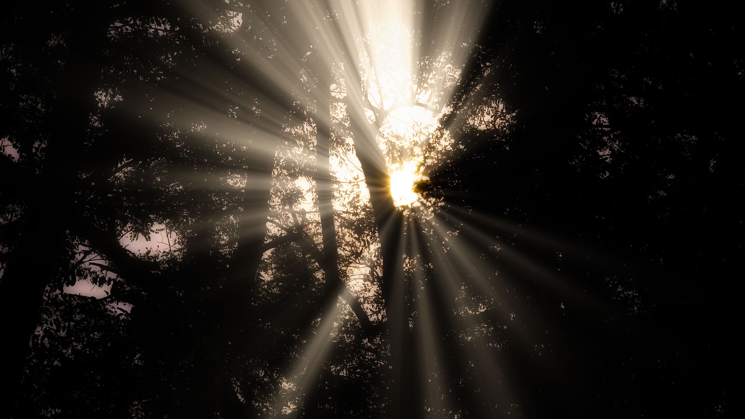 Sony a 6000 35mm tamron 2.8