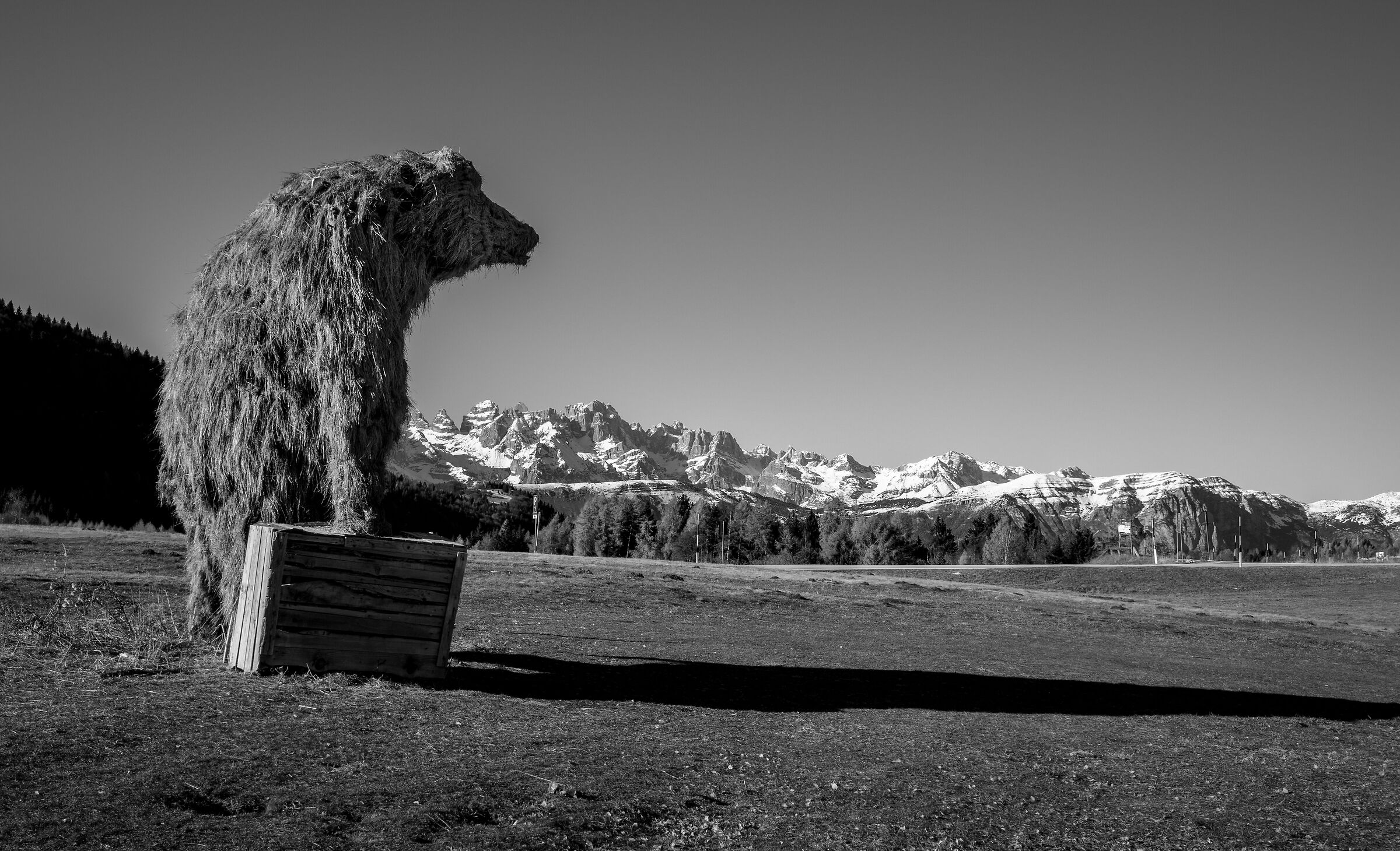 In partenza (Le Viotte Monte Bondone - Trentino Italia