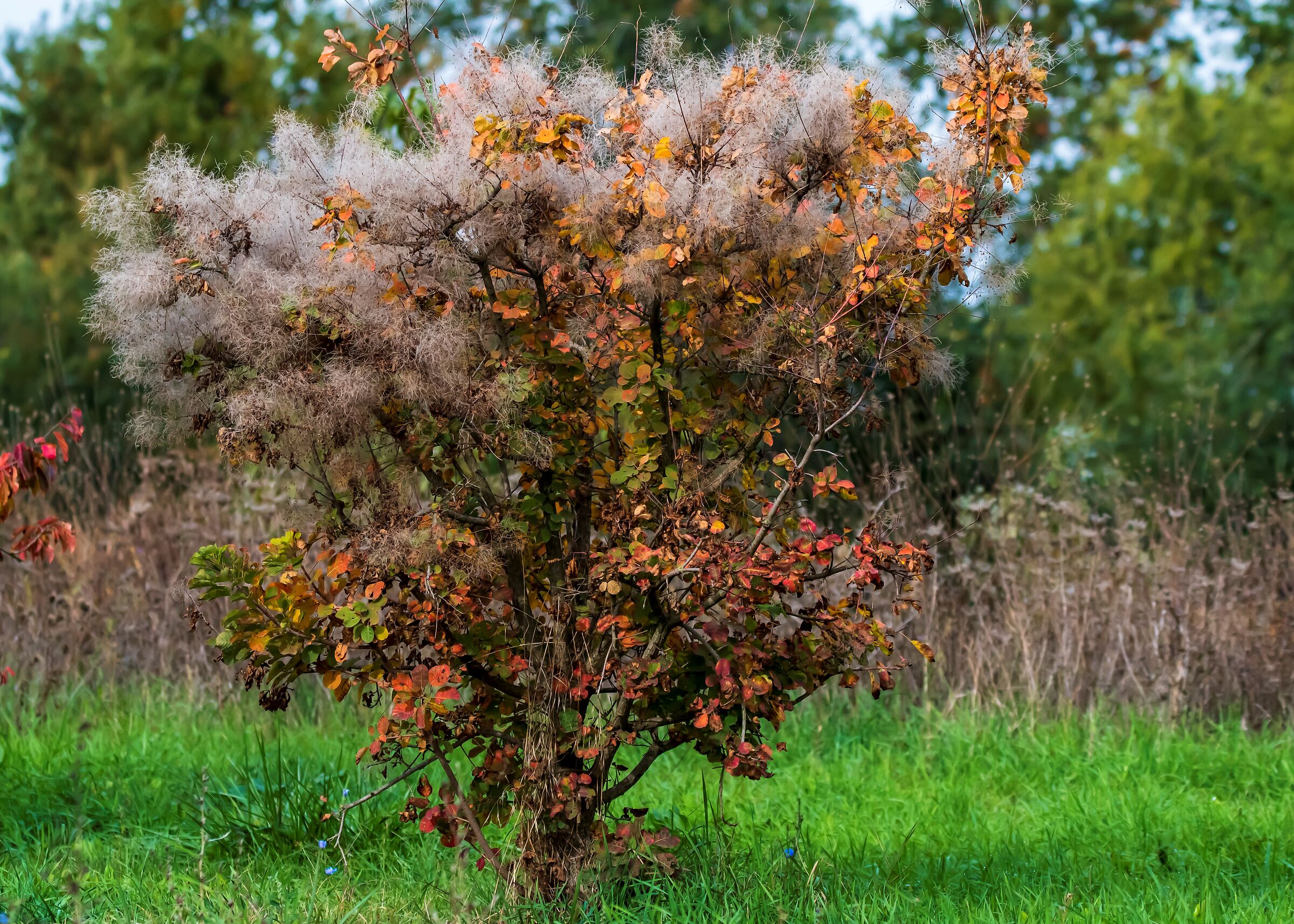 Autumn is coming...