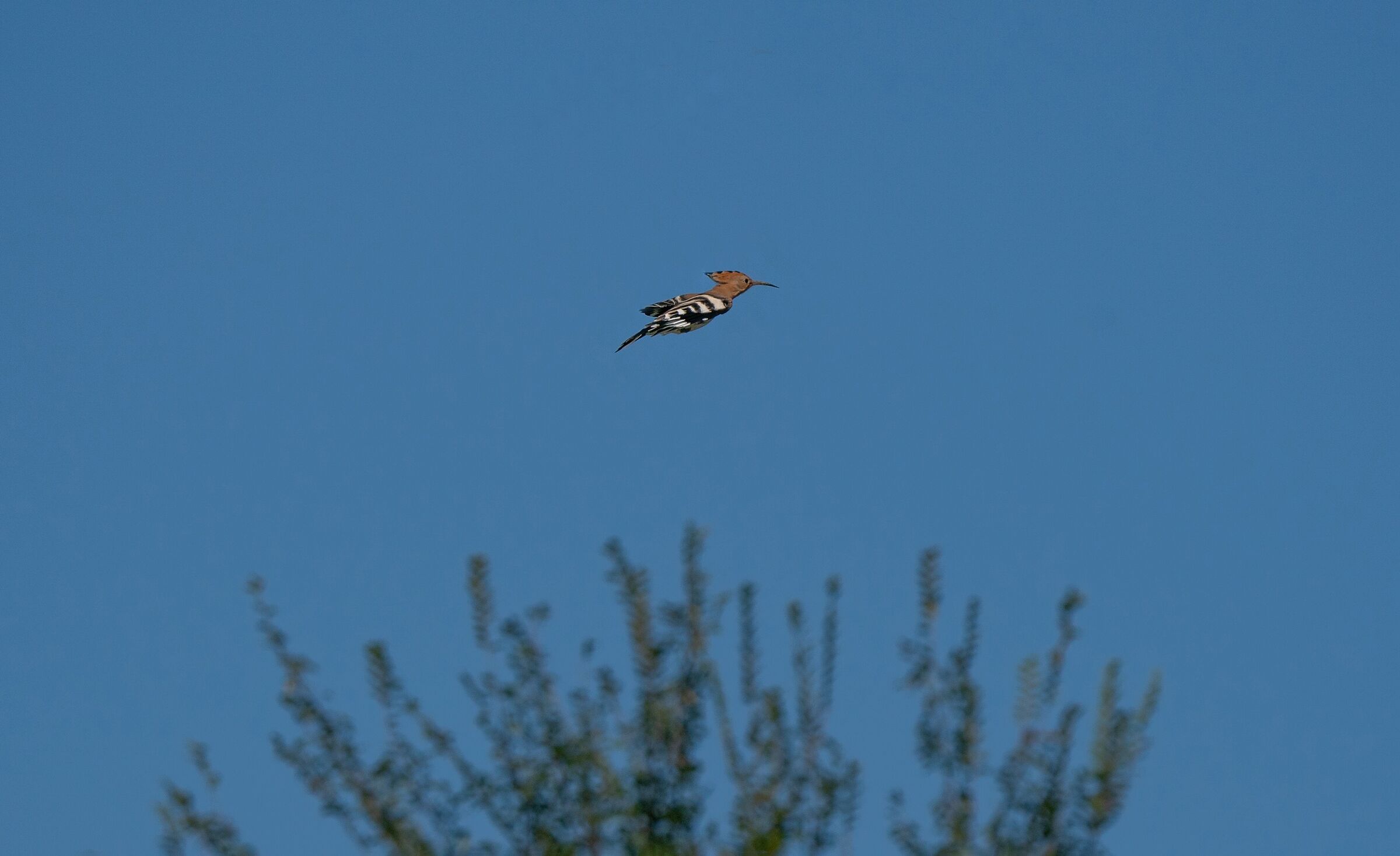Un missile sulla piana