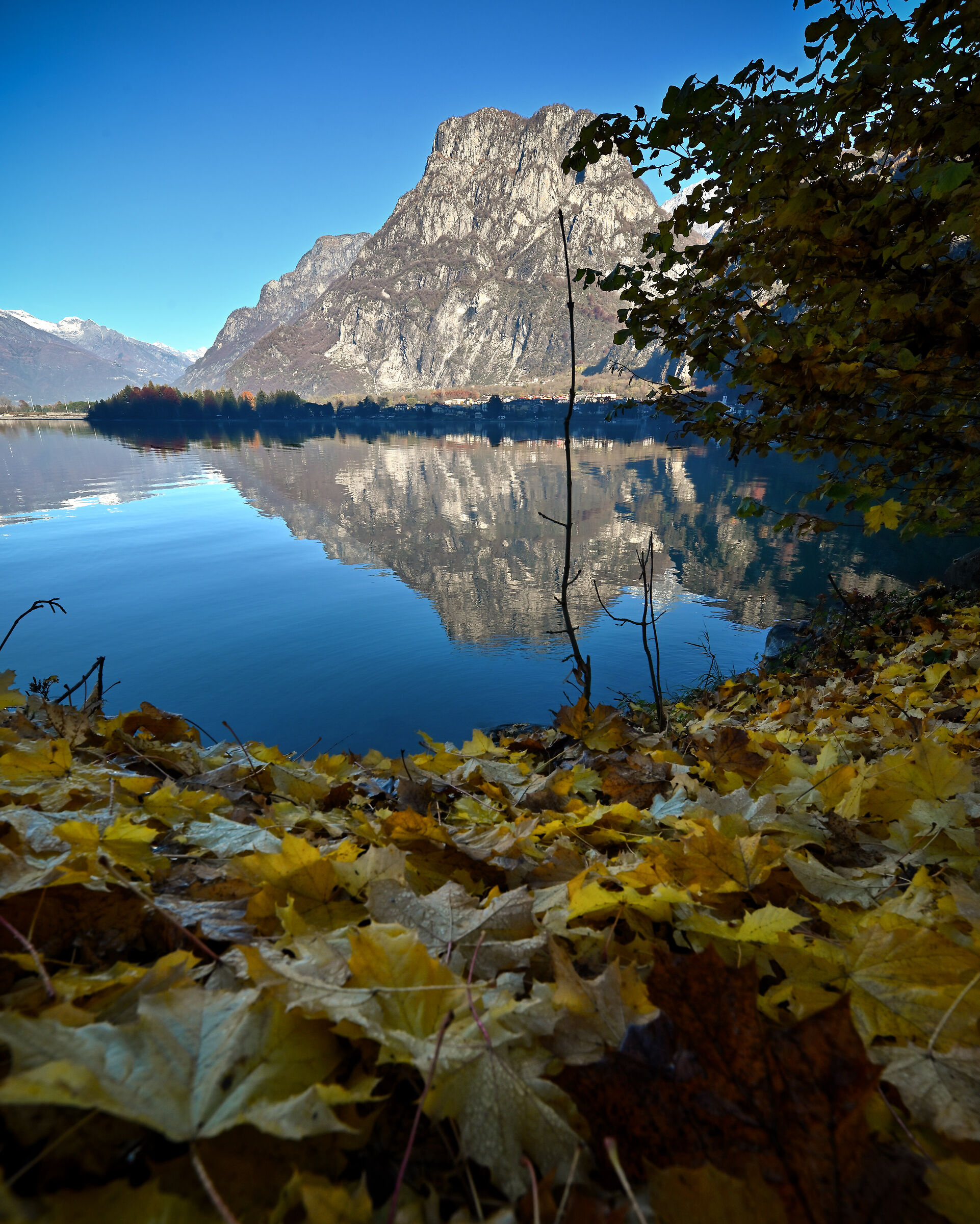 Lago di Mezzola (so) - Autunno
