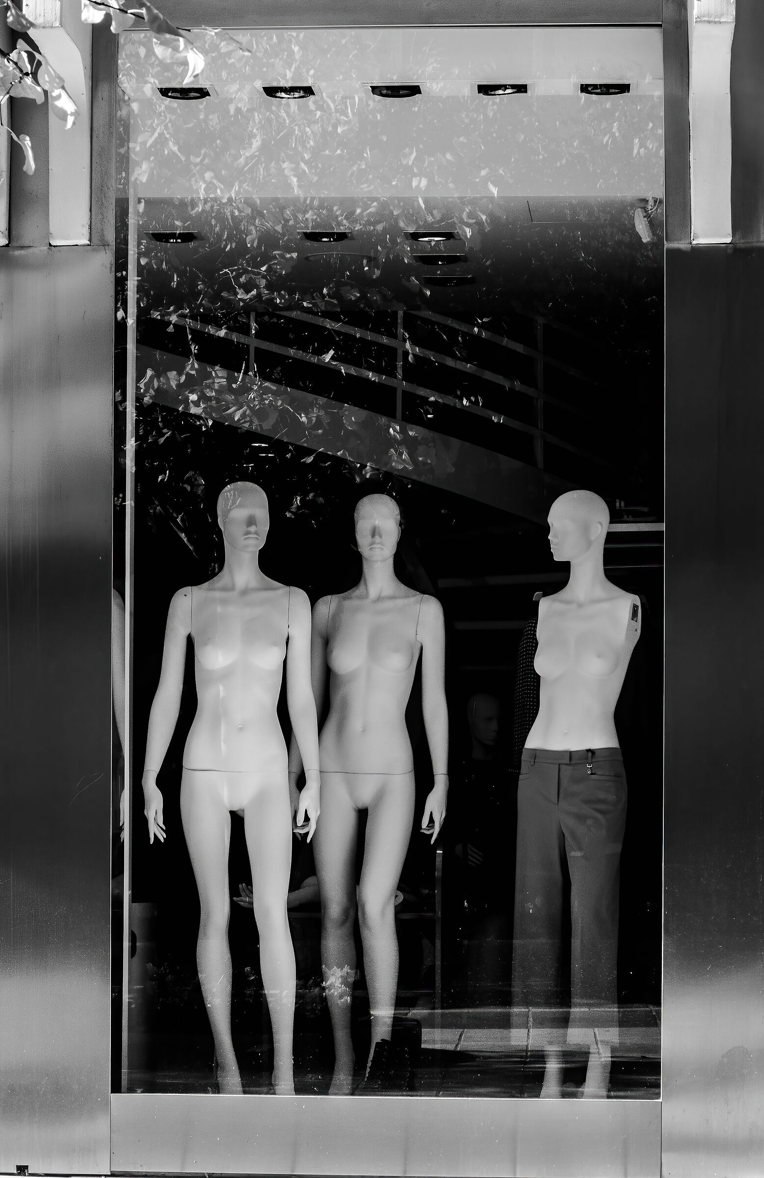 NO alla violenza sulle donne, facciamo scudo