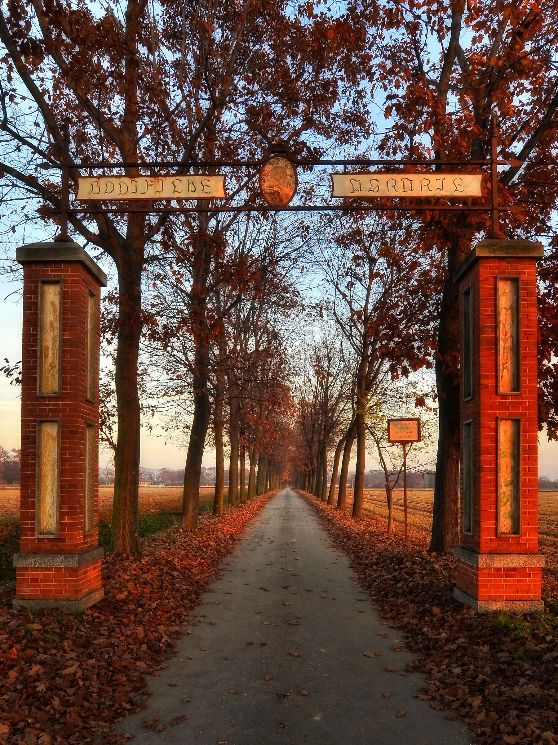 Viale d'autunno