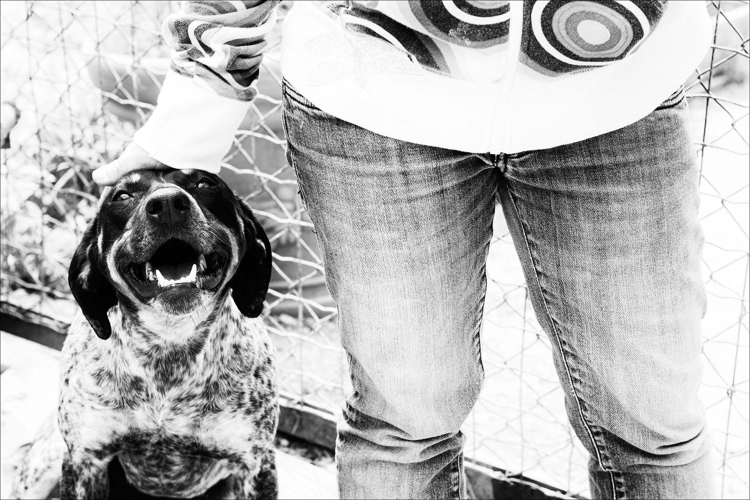 Isotta, al rifugio Ohana