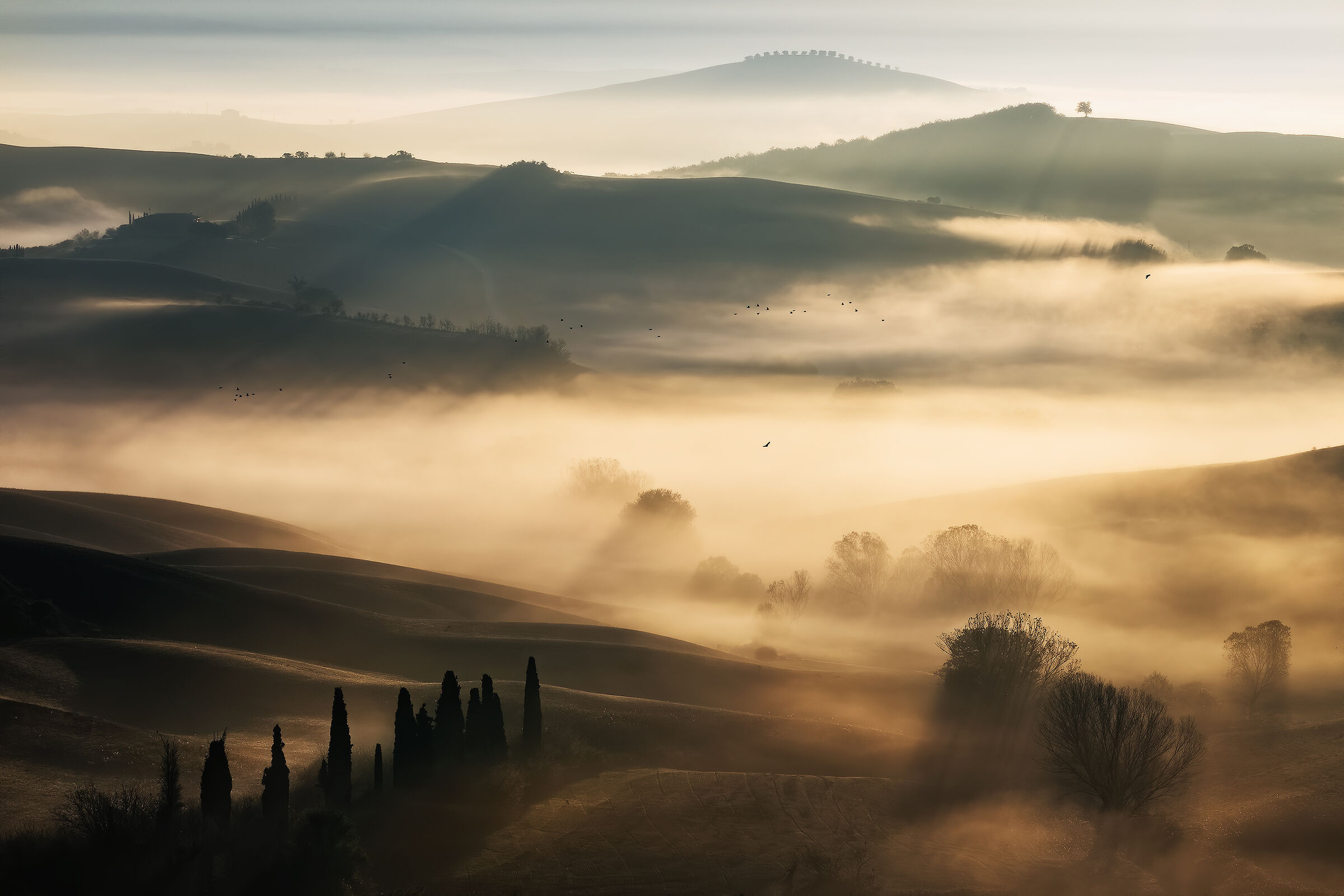 Suggestioni toscane
