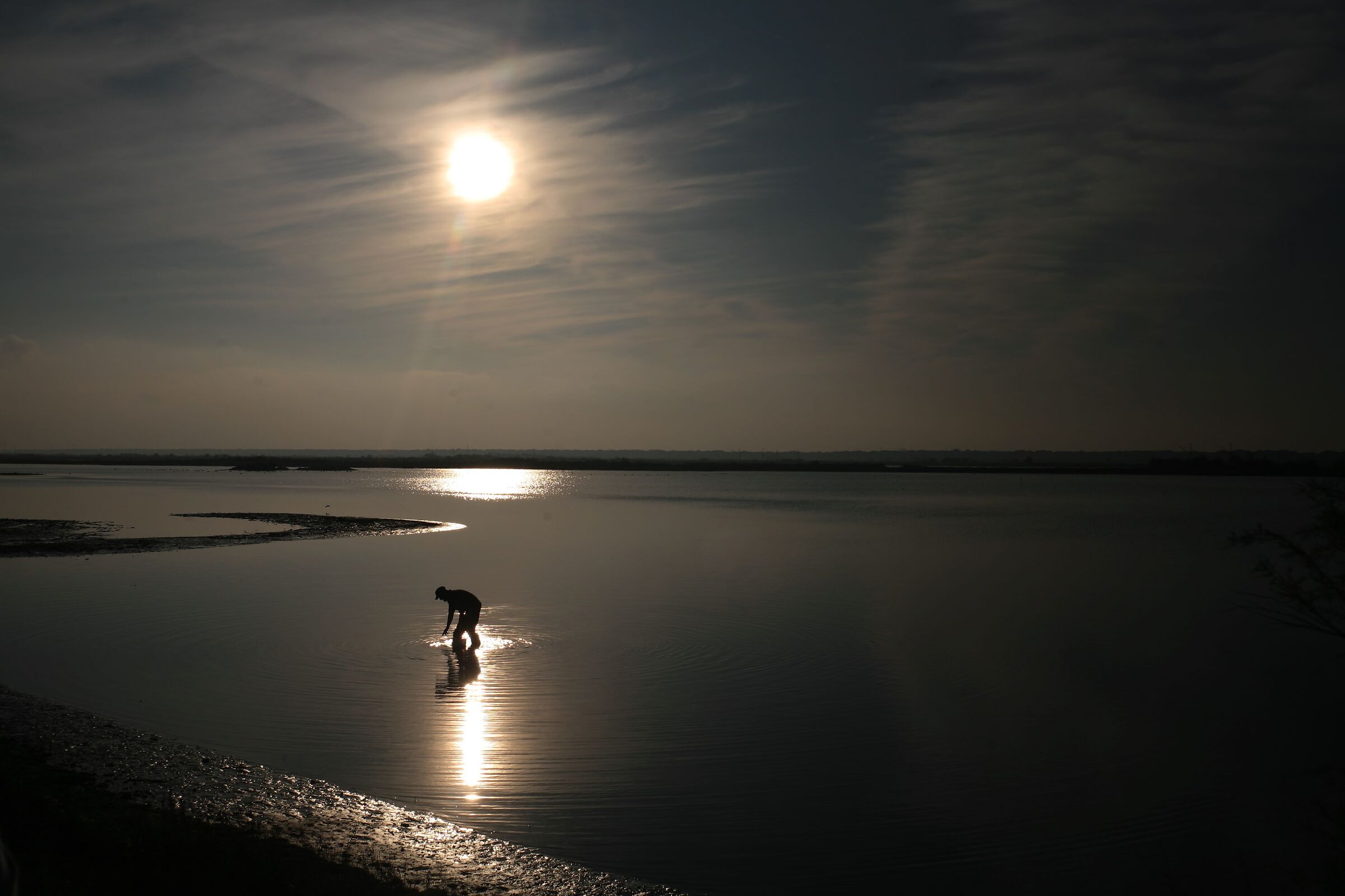 Cercatore di vongole