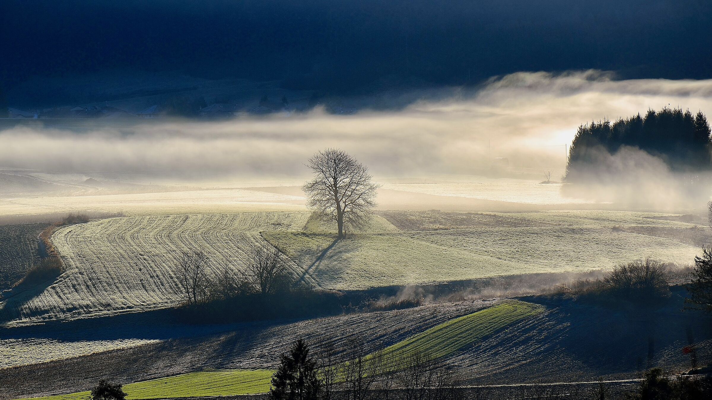 Dawn