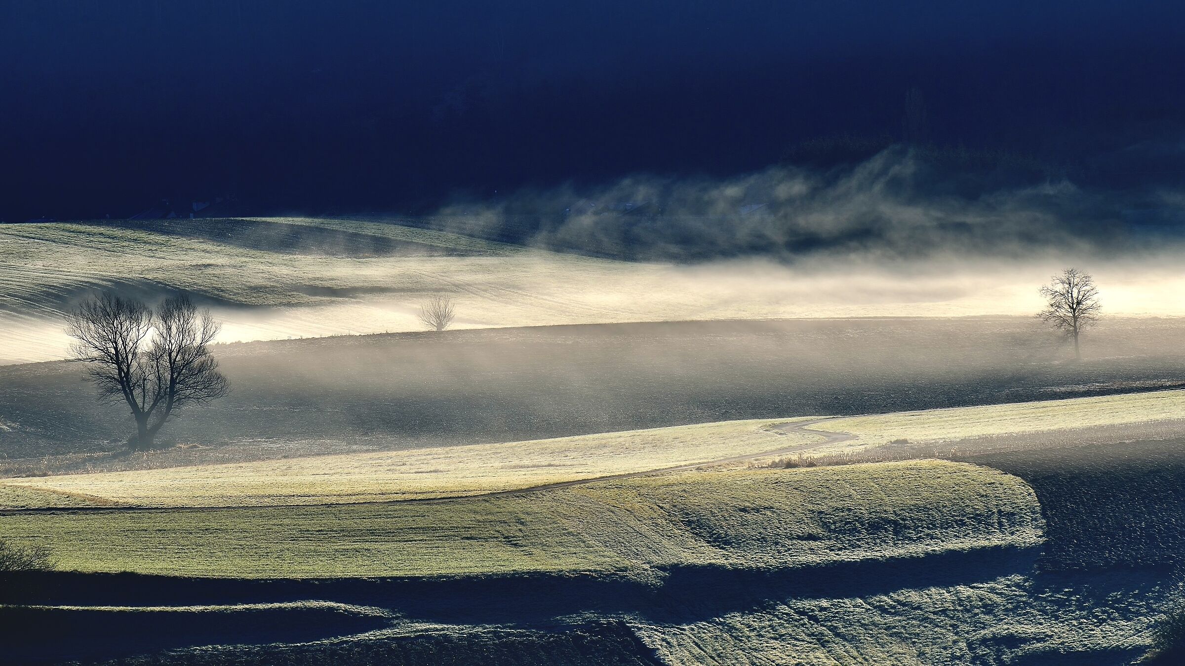 Dawn