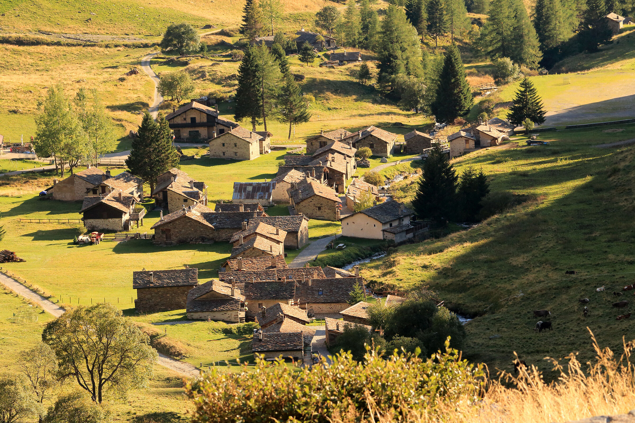 baite di Viso (camune)