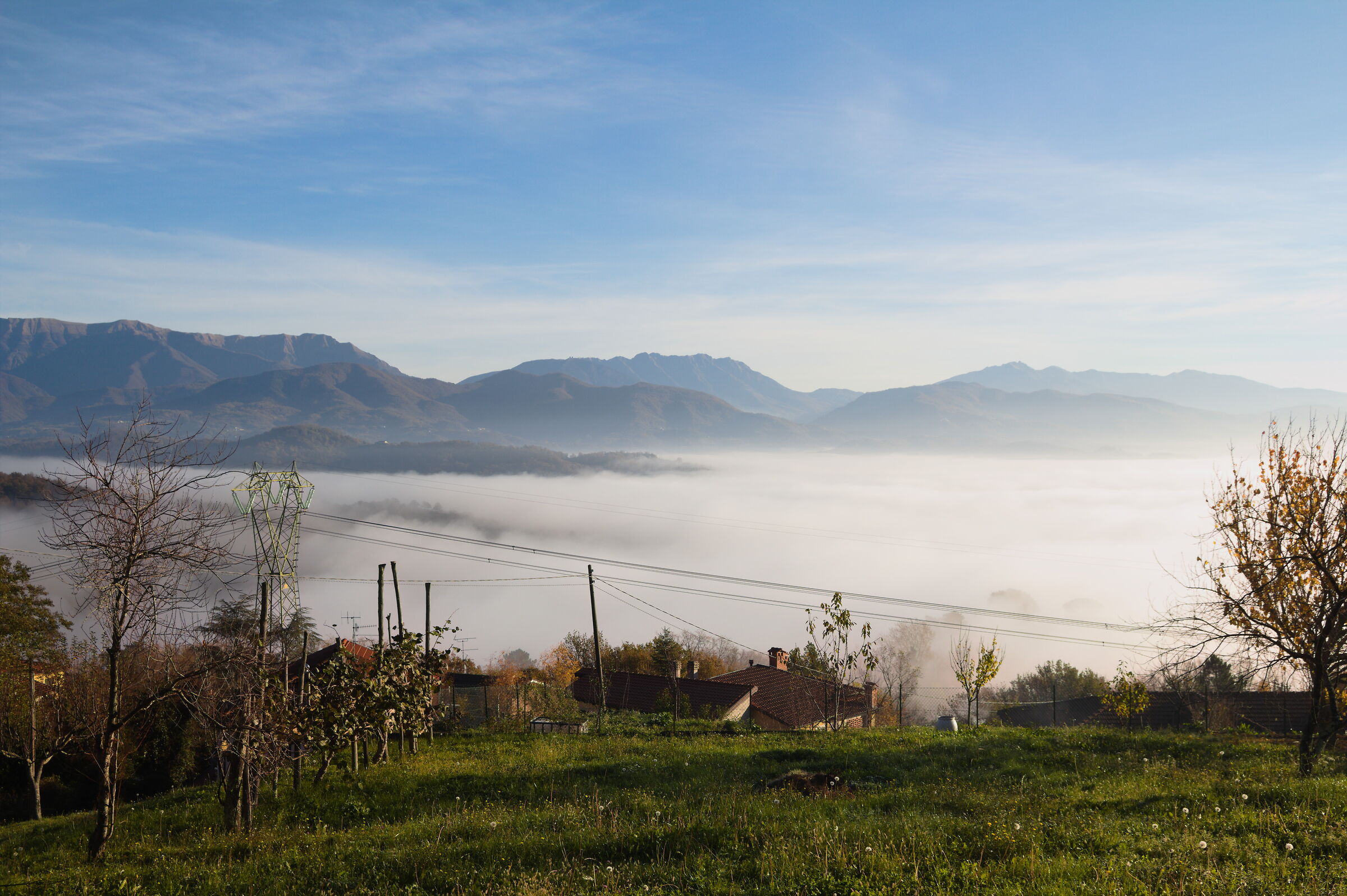Piani e stati gassosi