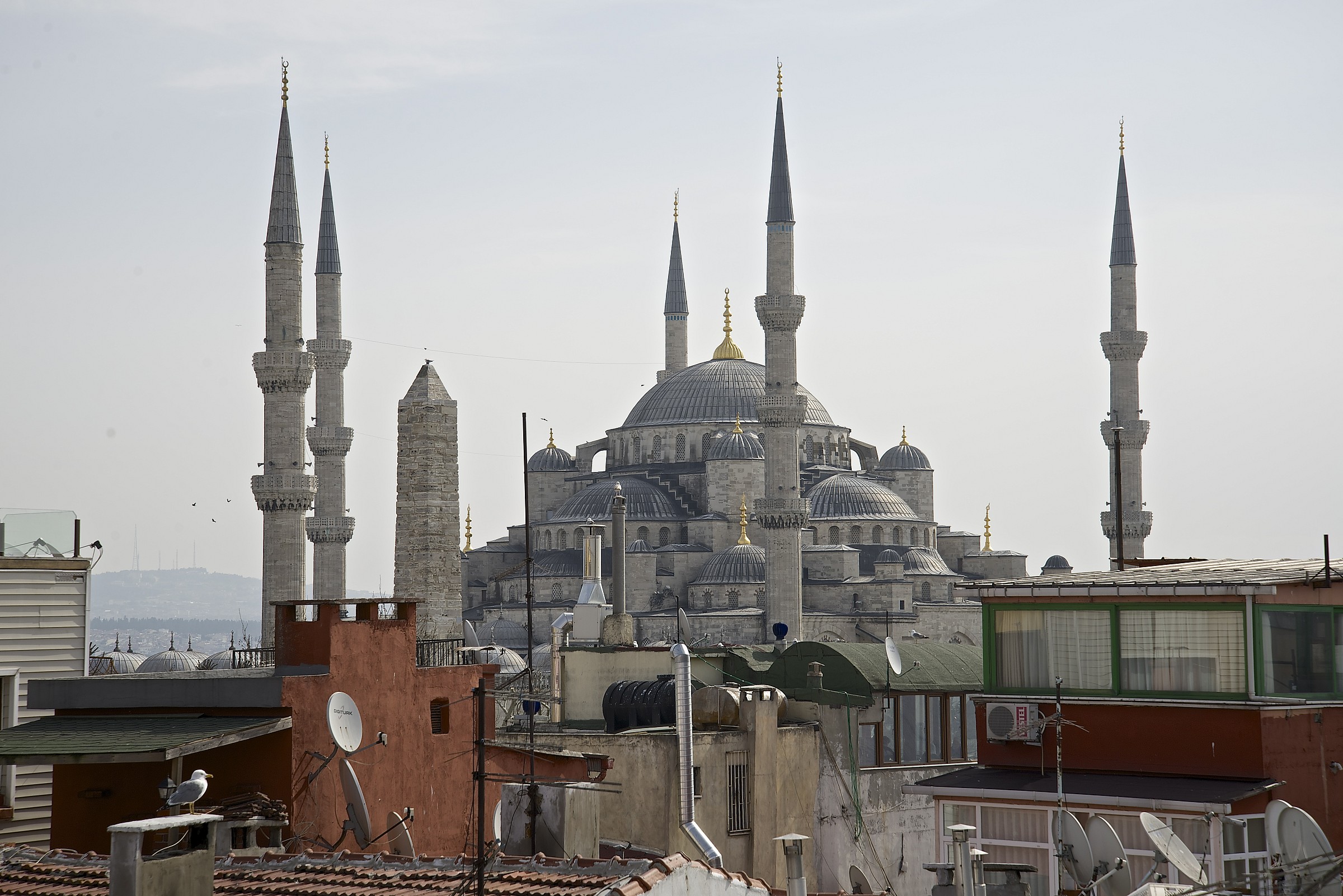 La moschea blu tra i tetti di palazzi decadenti