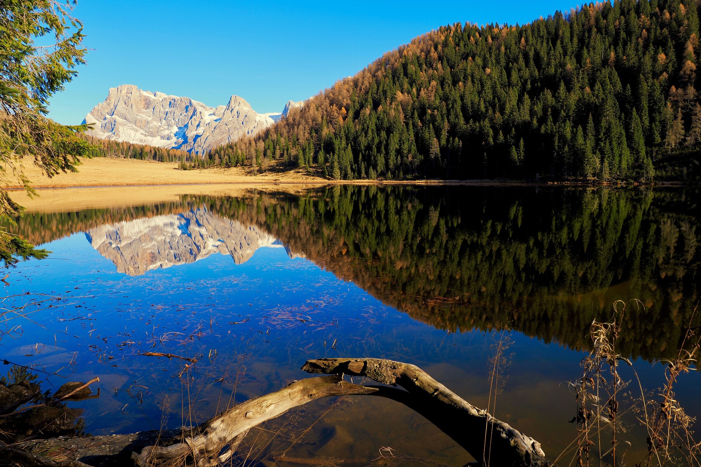 Cimon della Pala riflette....