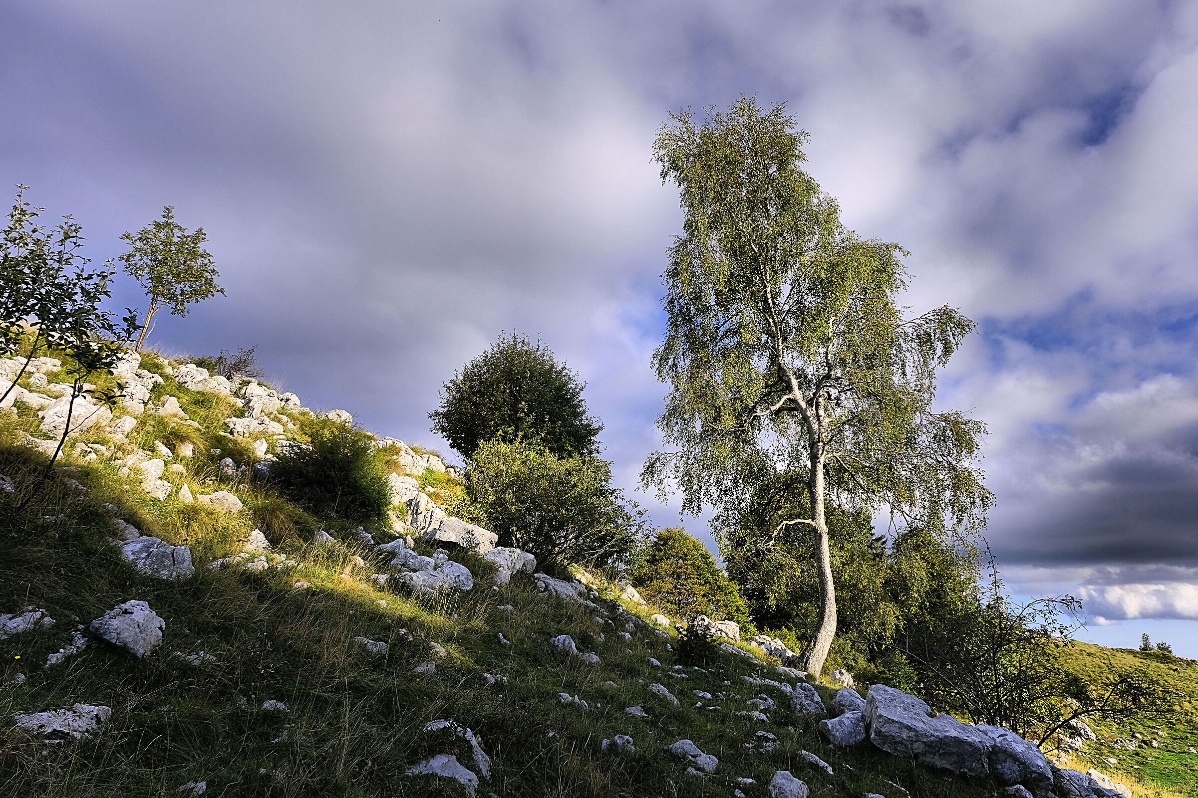 Bel posto... il Monte Grappa