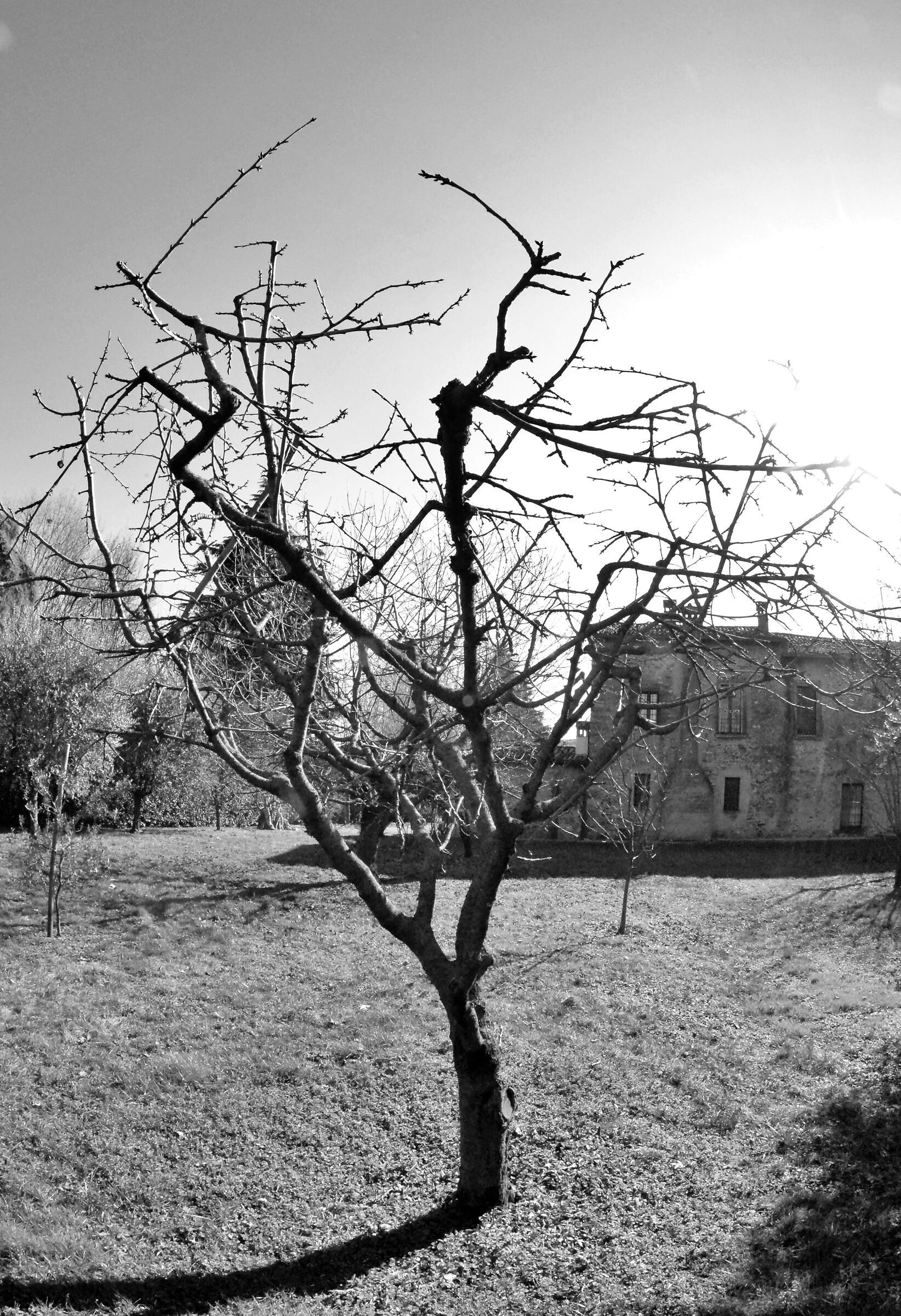 Playing with a Nikon 16mm II