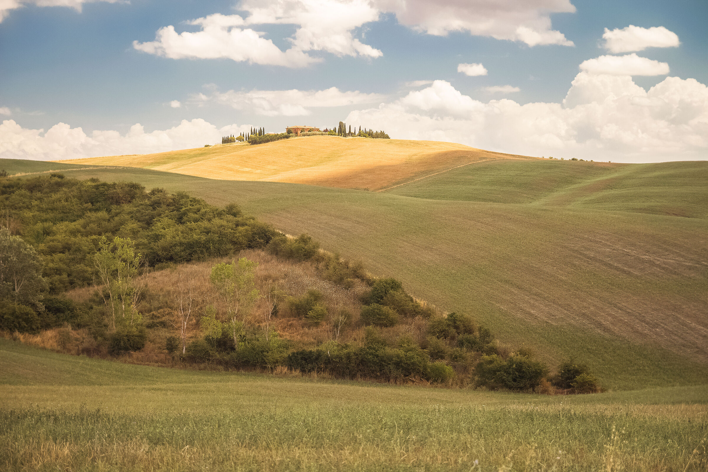 Classic Tuscany