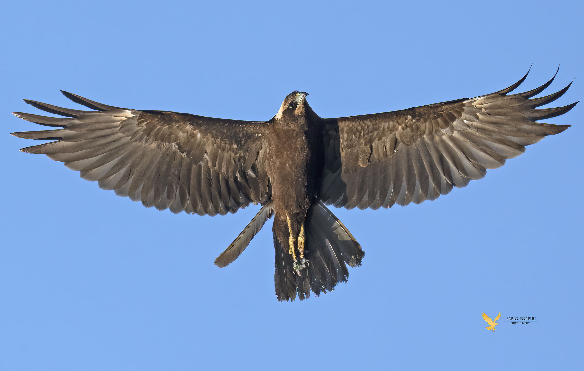 freccia a destra ....