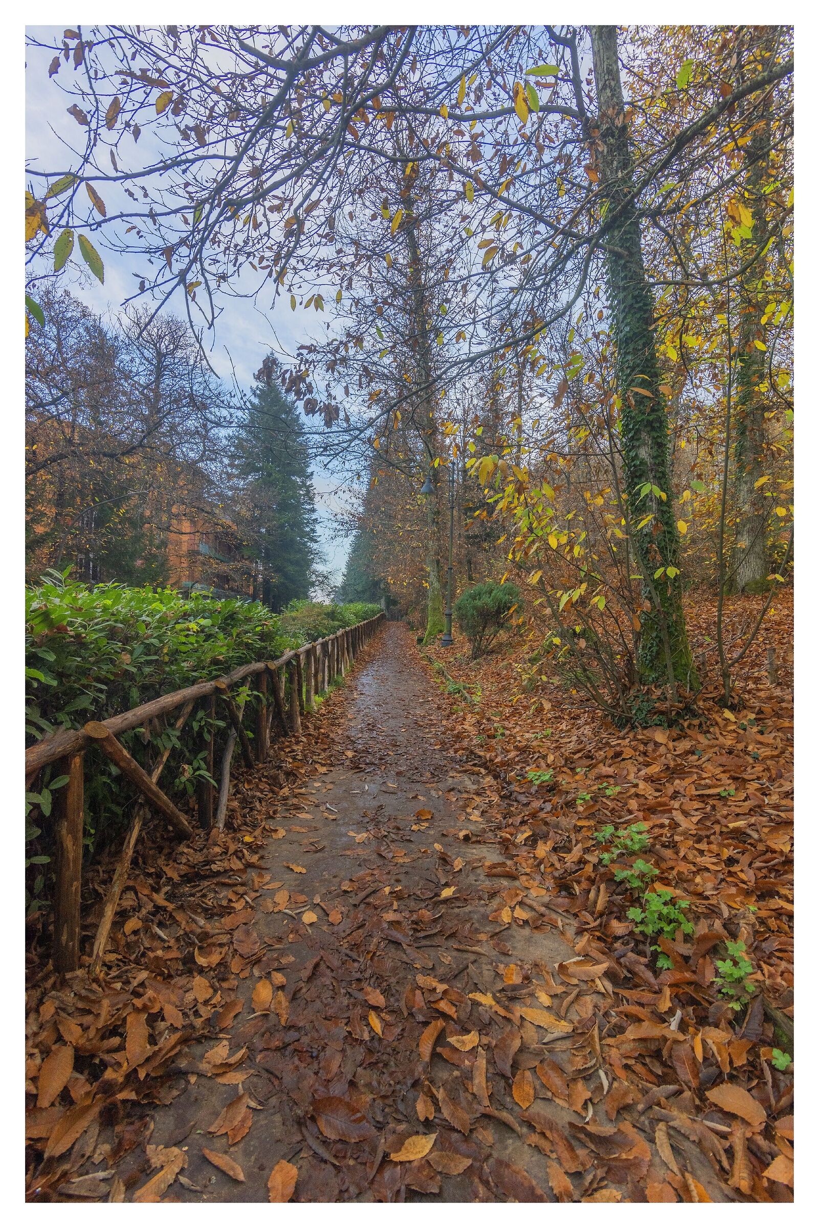 Viottolo del parco comunale