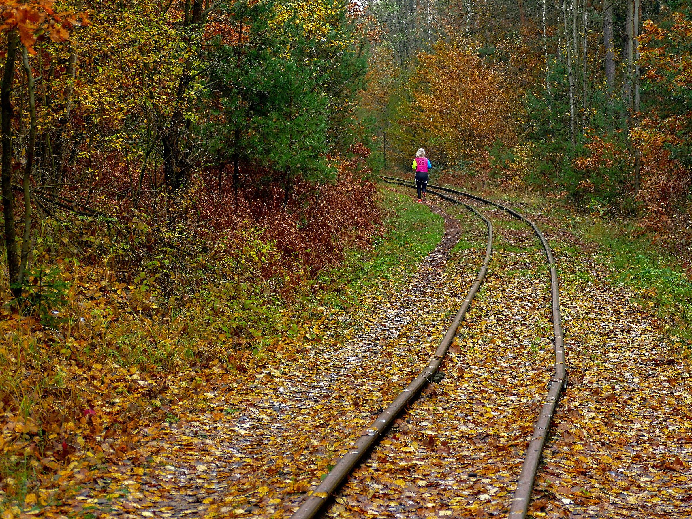 pista da jogging nella foresta autunnale