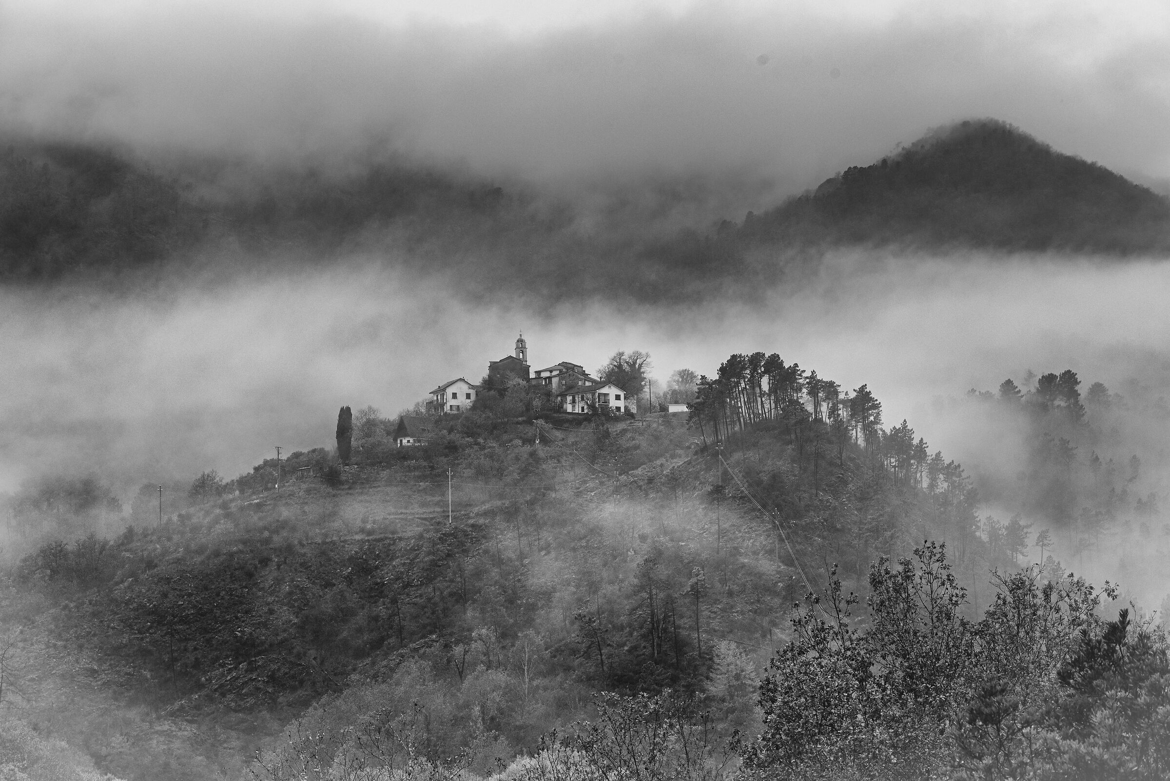 Autumn has its charm.....