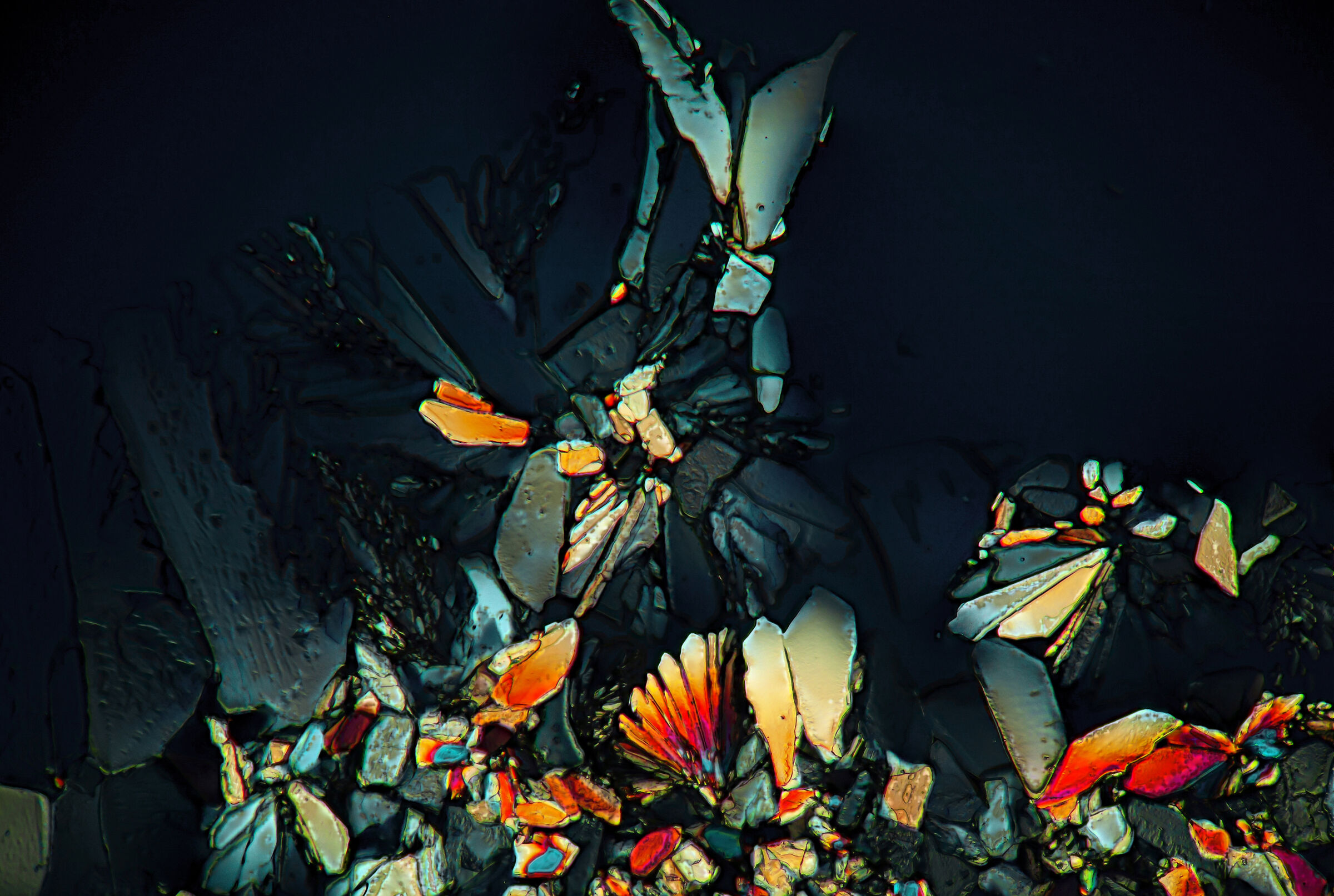 Sugar crystals under microscopes in polarized light