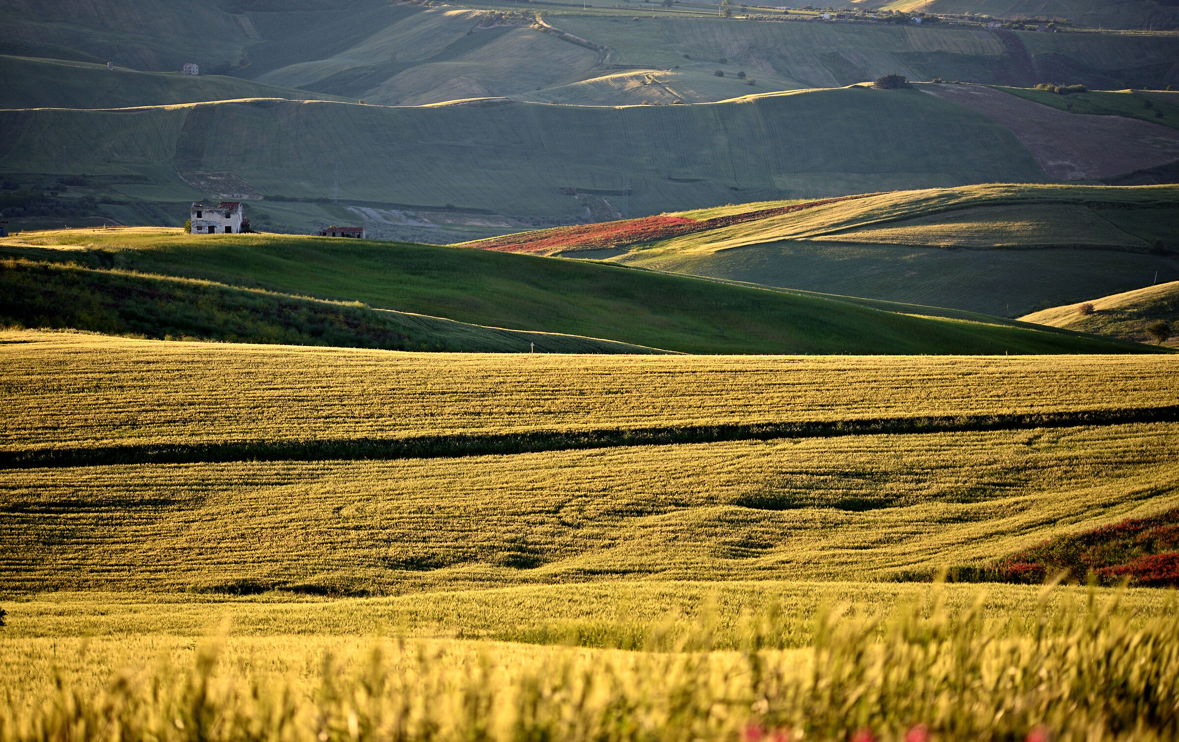 Velvety hills