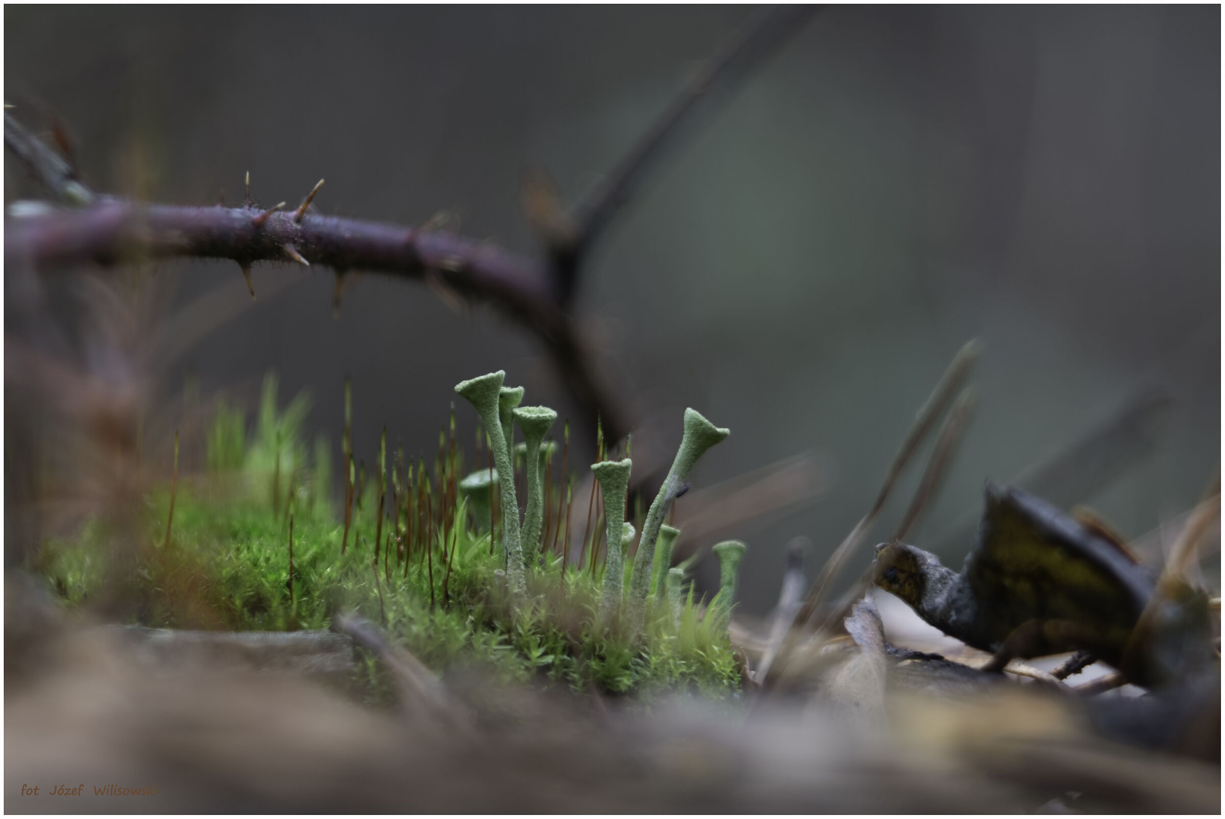 Untitled Photo