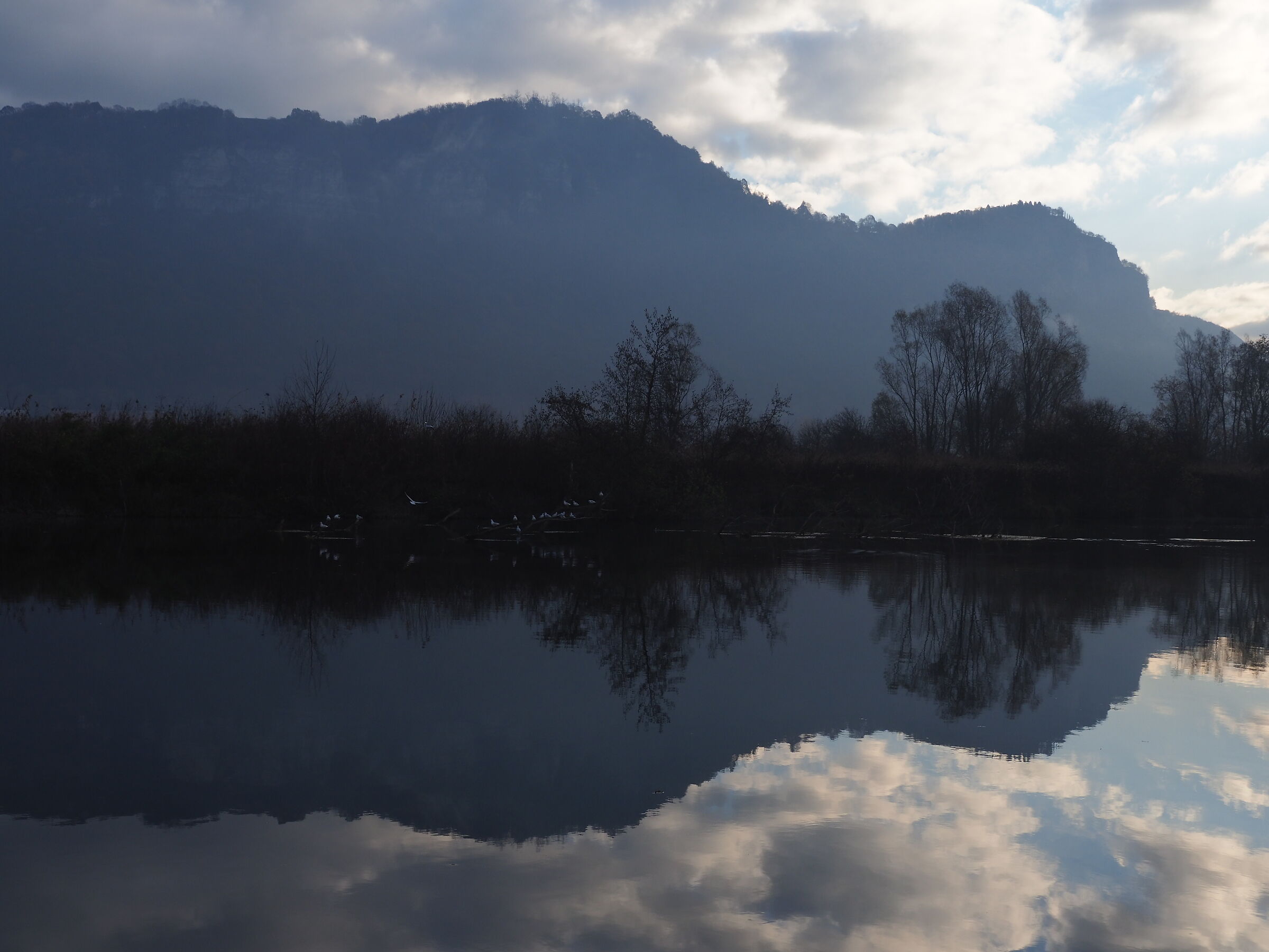 The river: Novembrini reflections