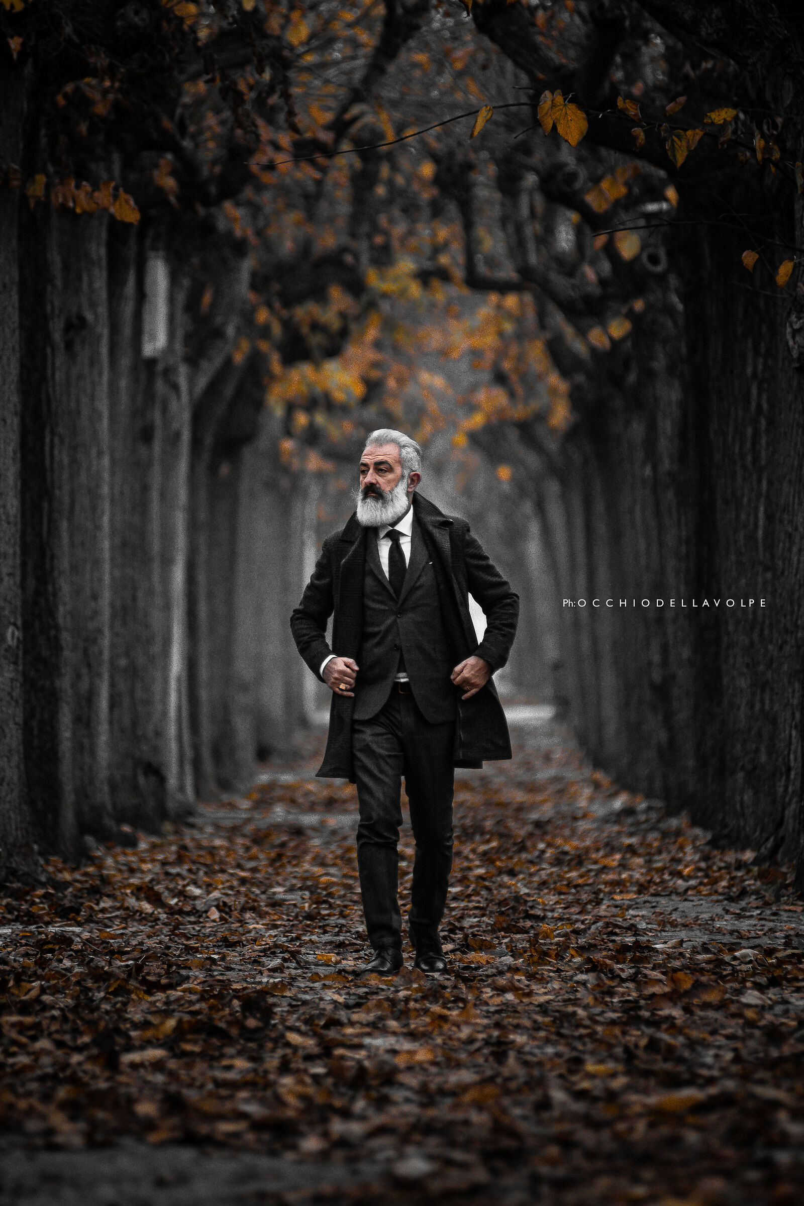 Untitled Photo