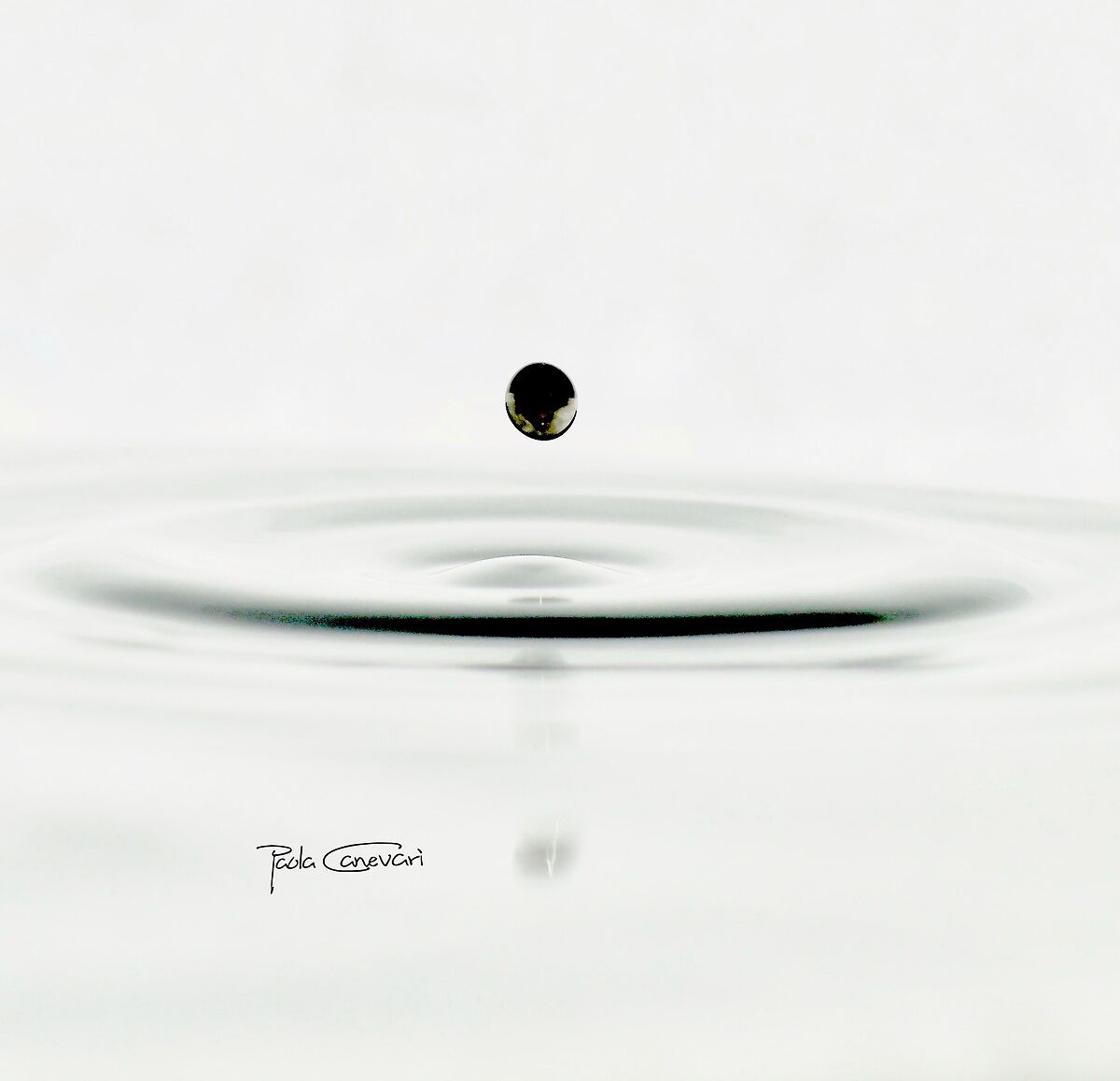 Untitled Photo