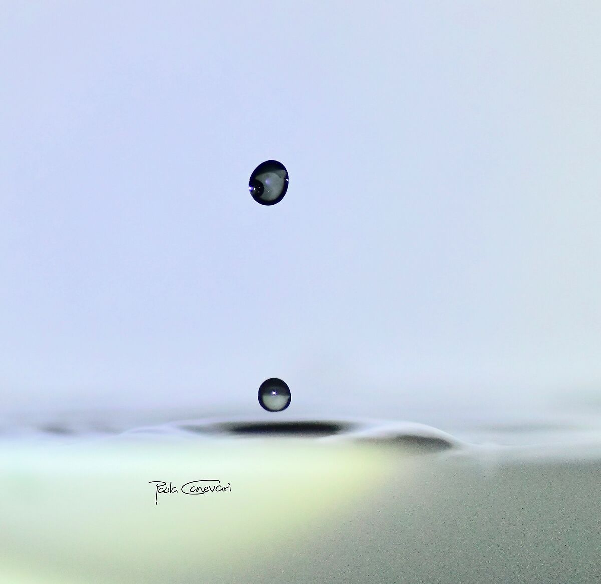 Untitled Photo