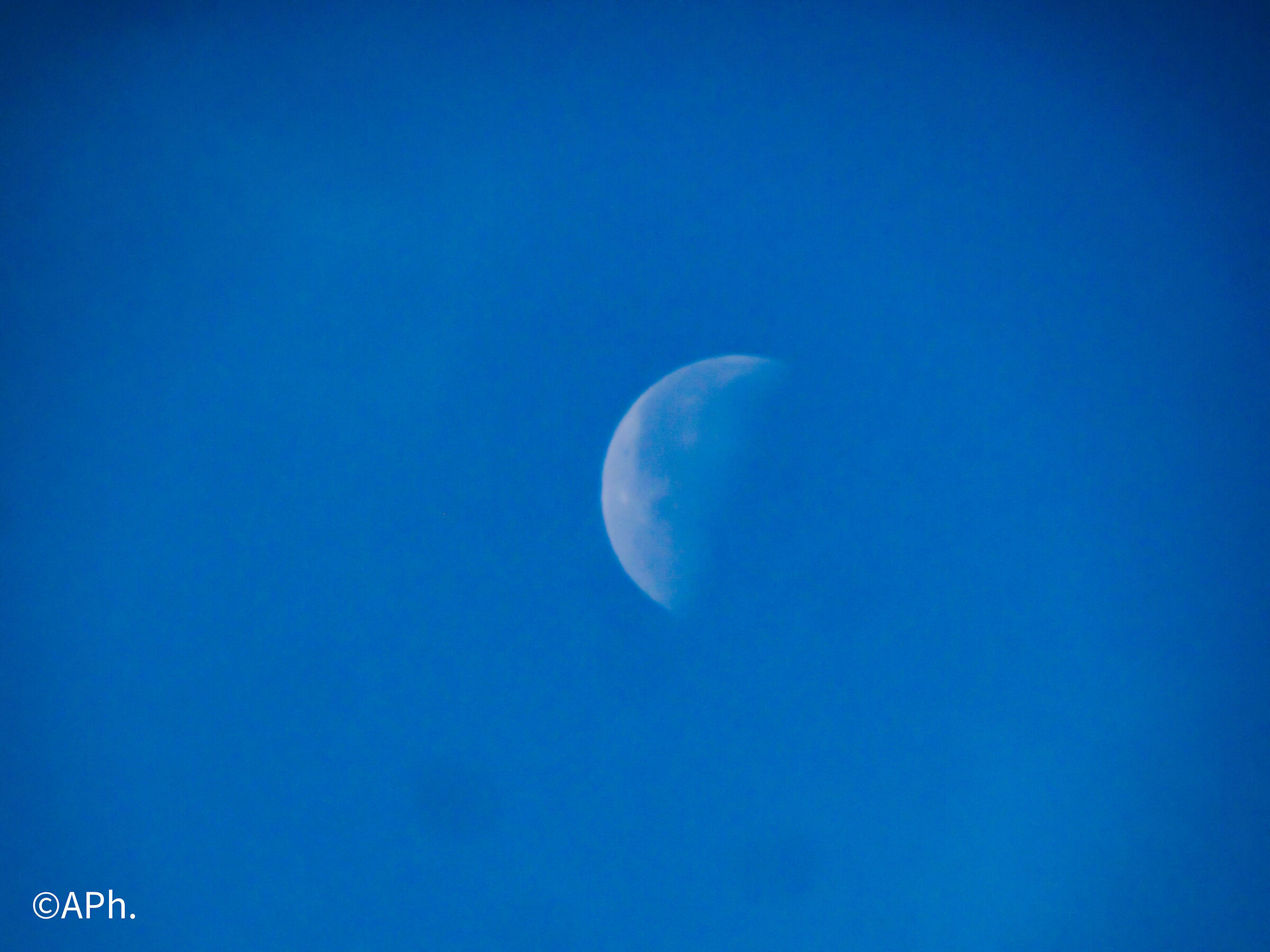 Luna che carina che sei!