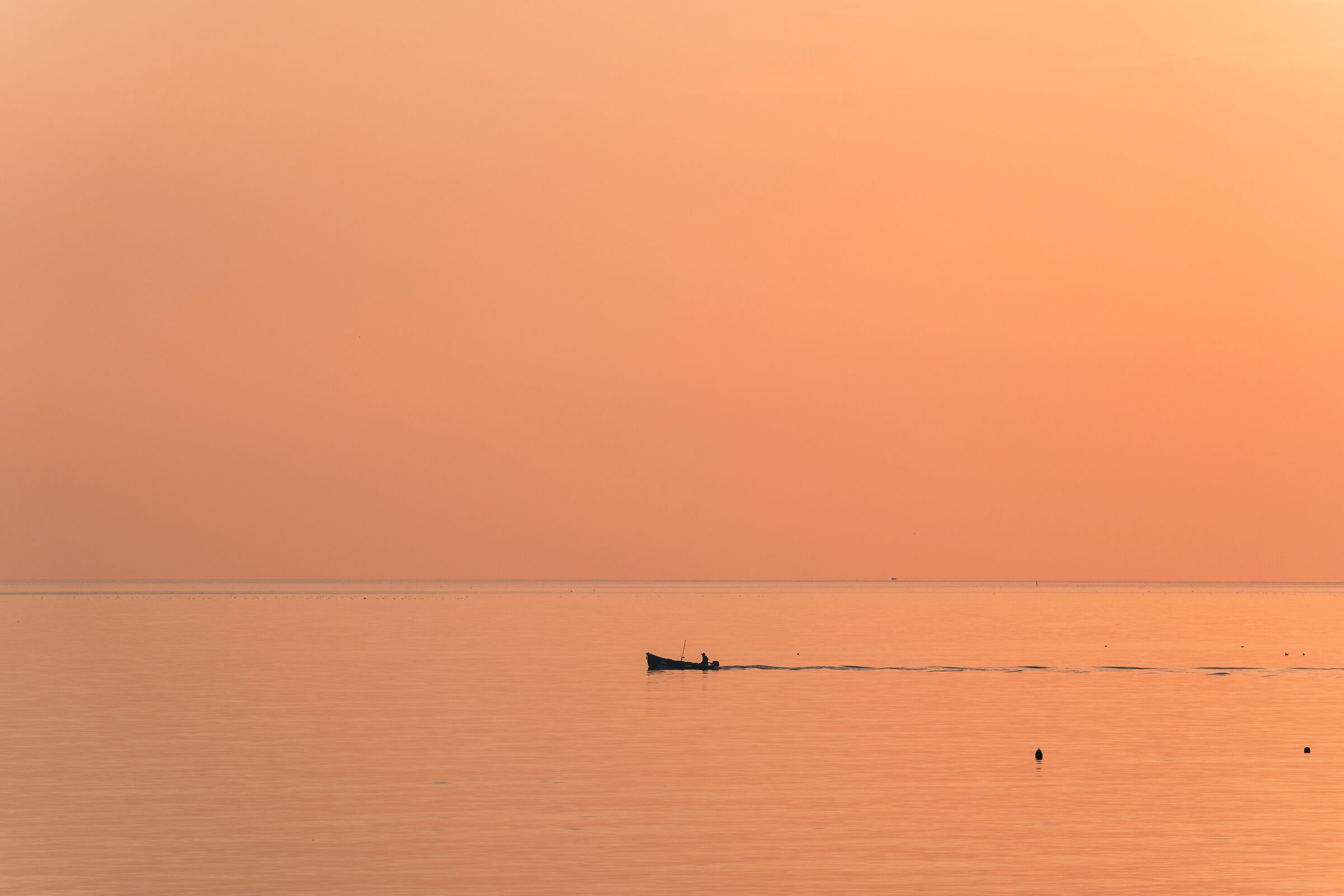 Verso un porto sicuro