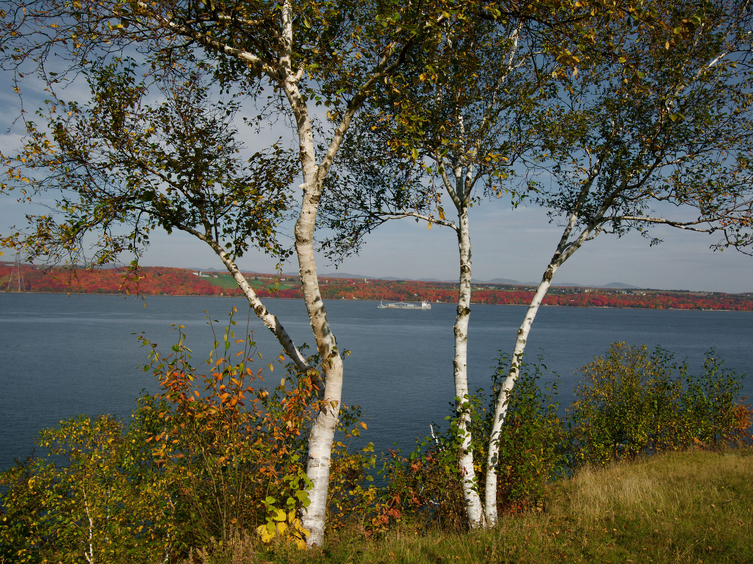 Splendida giornata autunnale