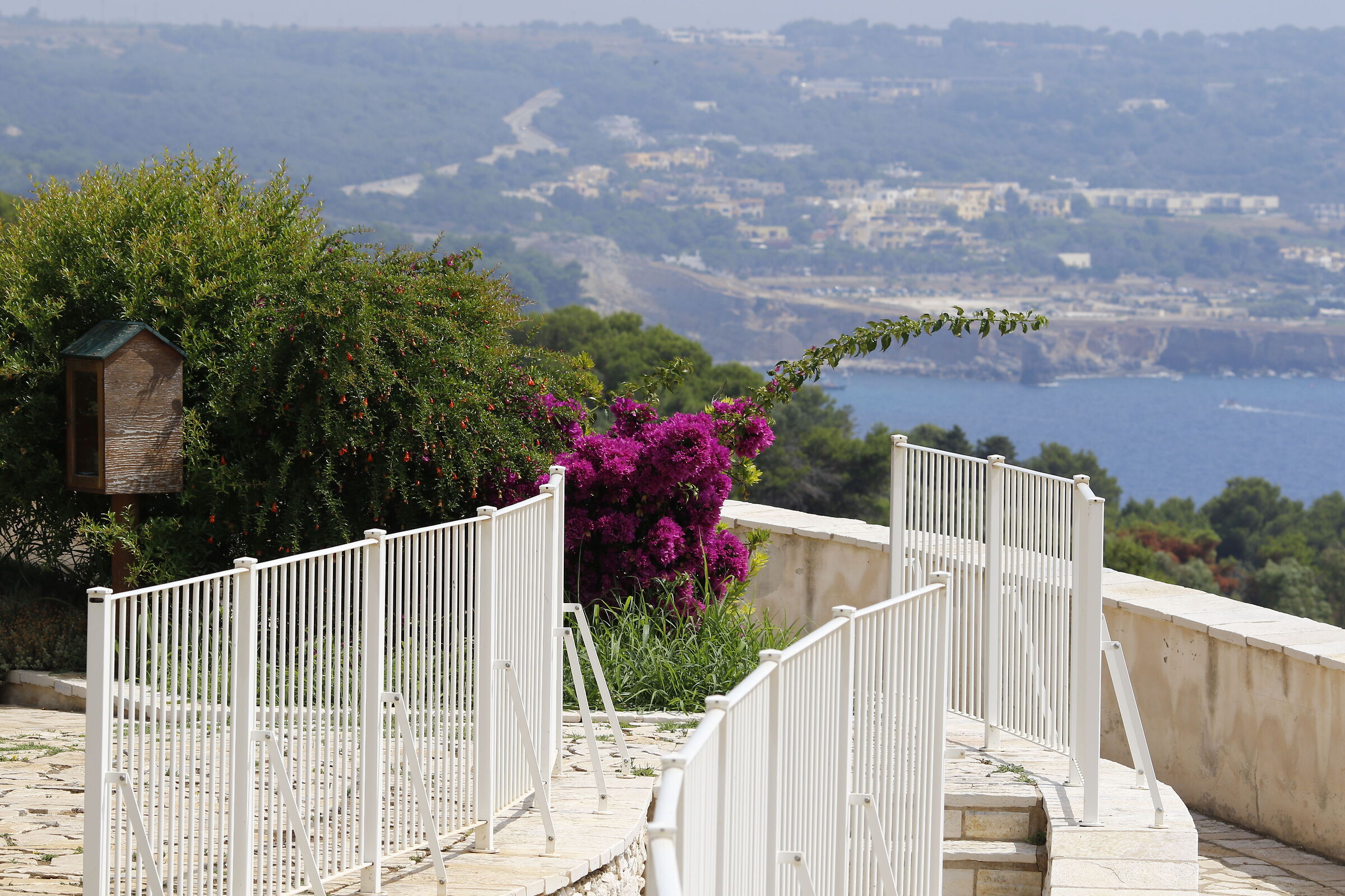 Canon 7d II / 135 F.2 L