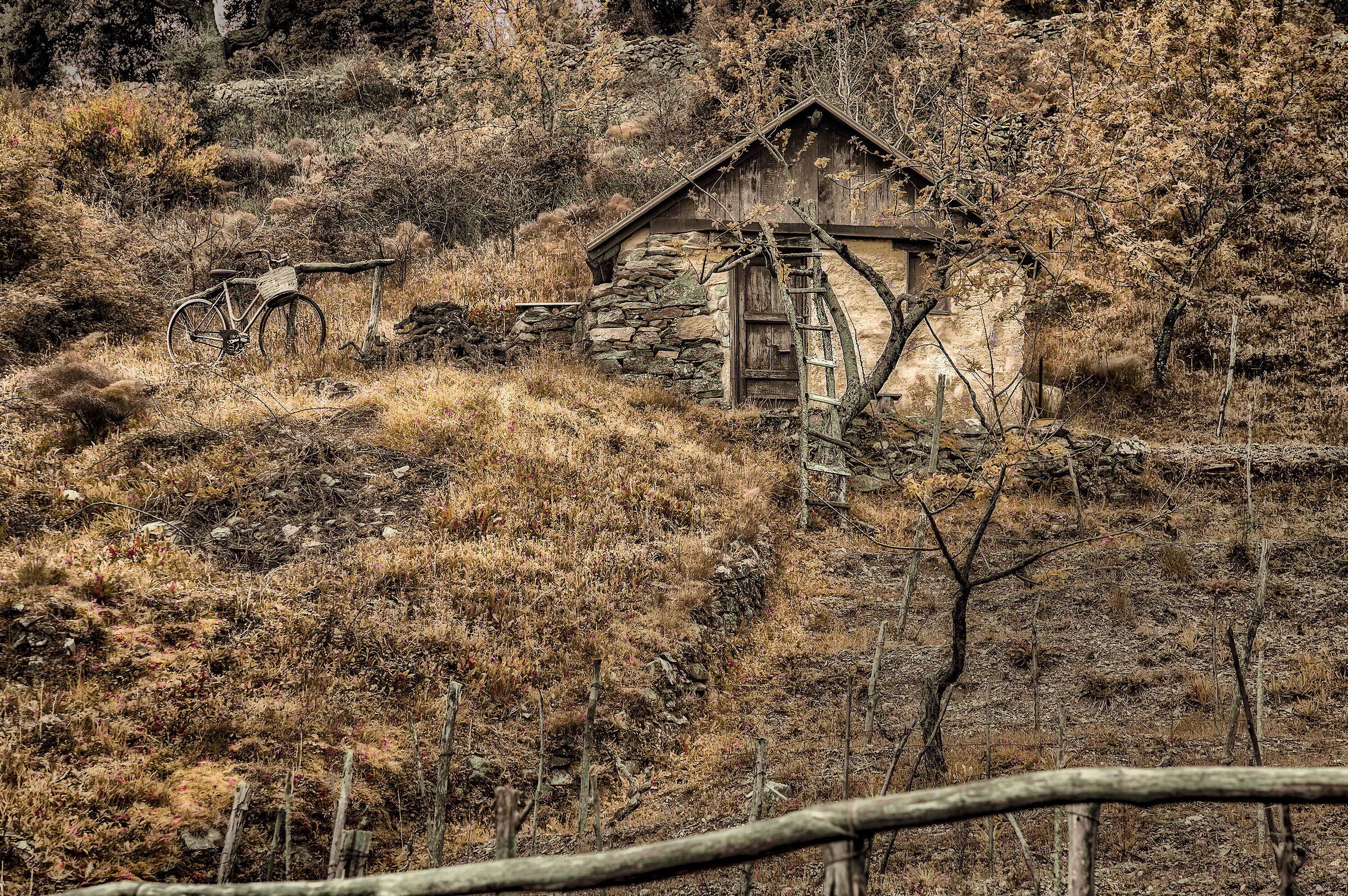La casetta al limitar del bosco