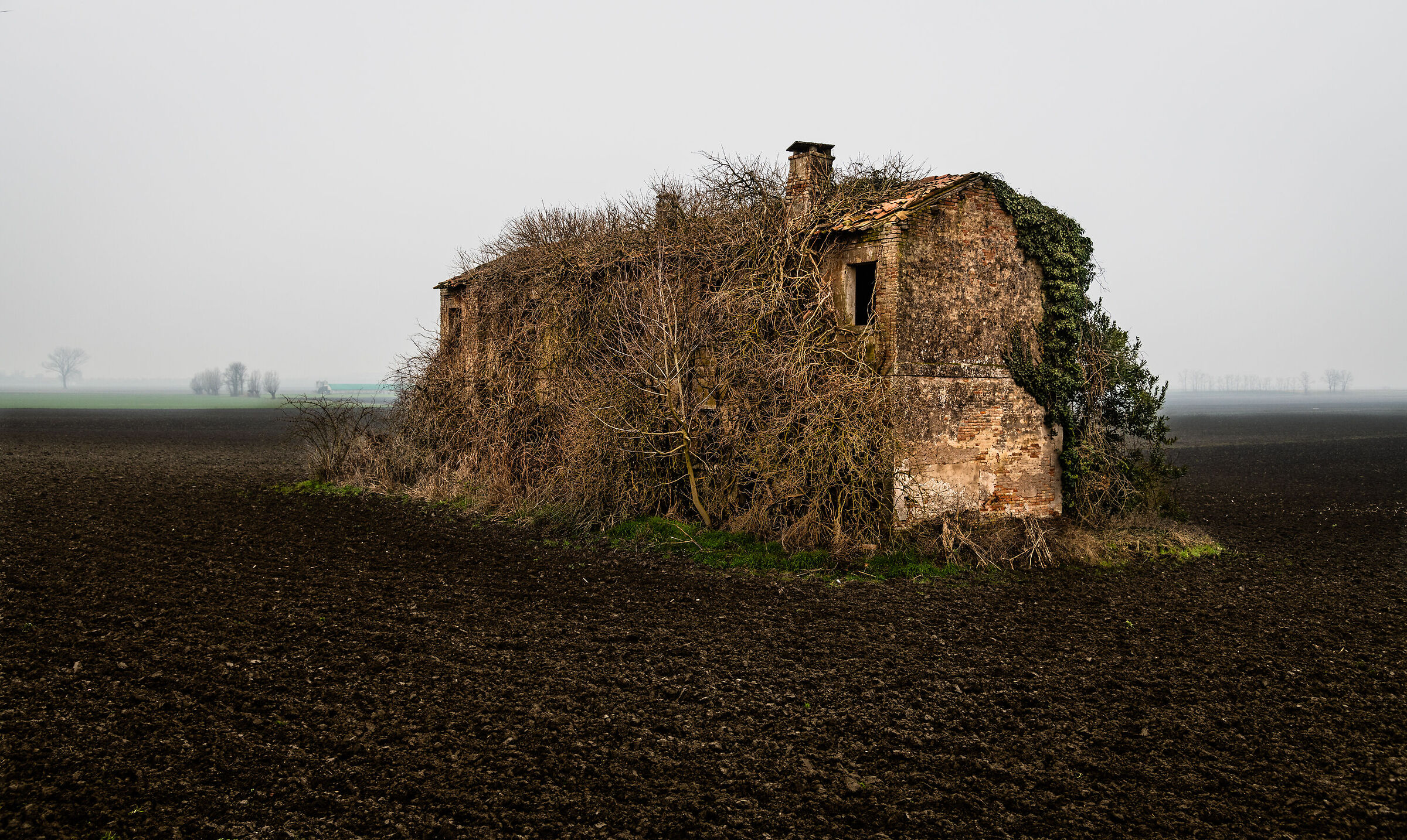 Un caldo abbraccio nella nebbia
