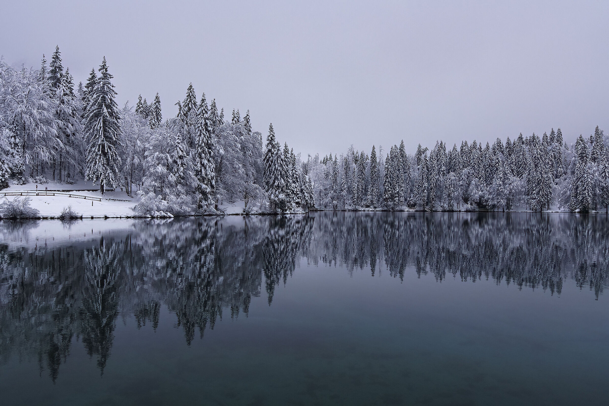 Riflessi alla prima neve
