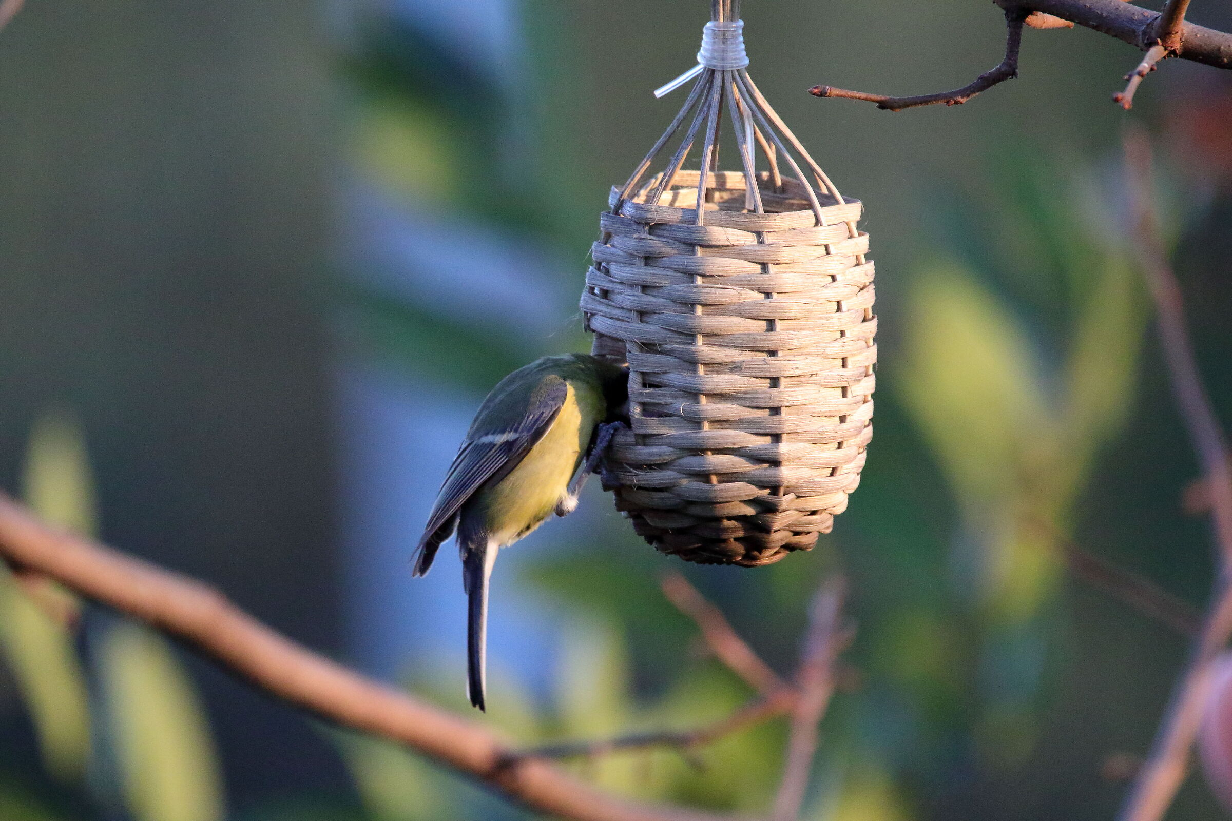 is there anything left?