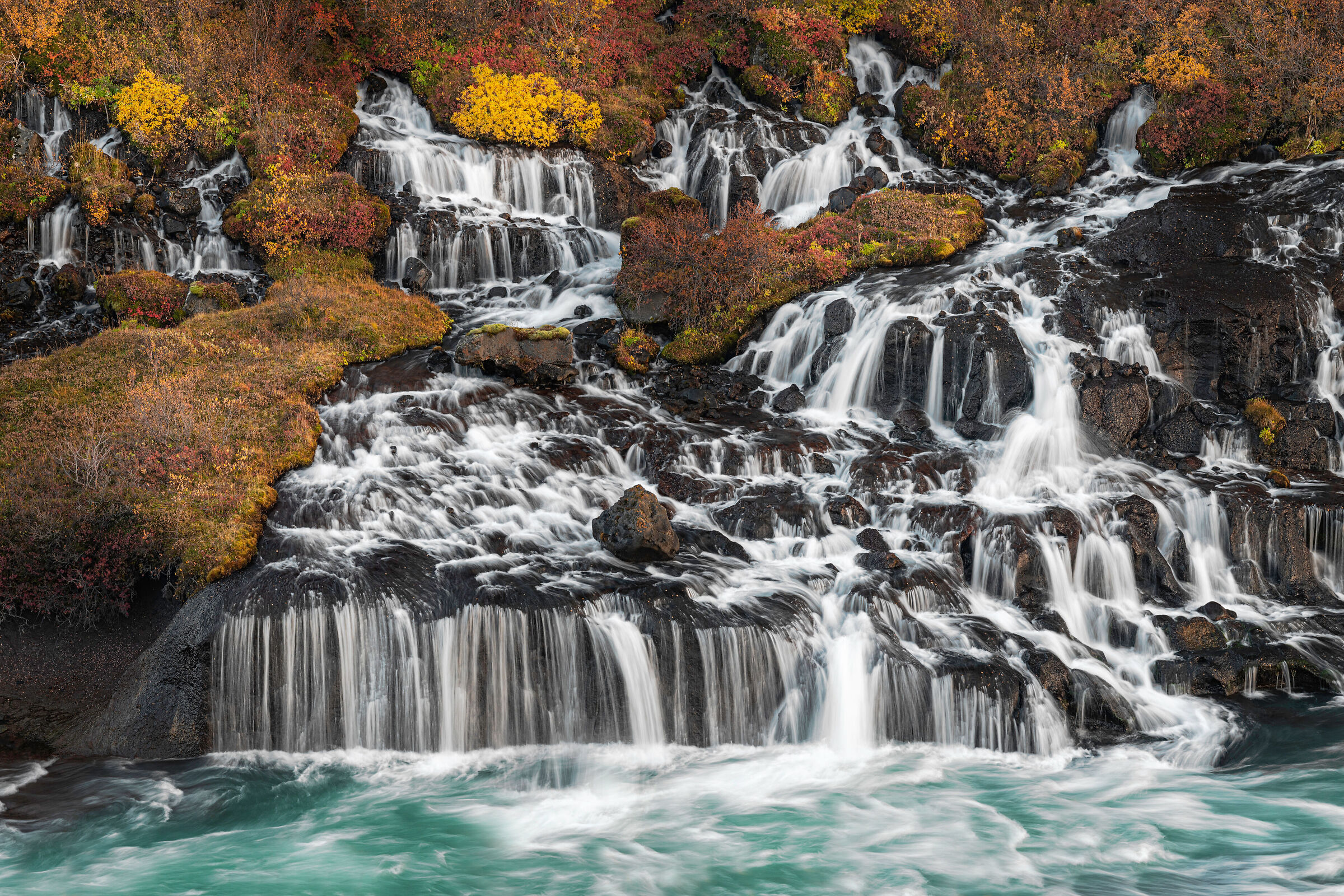 Autumn colors of the north