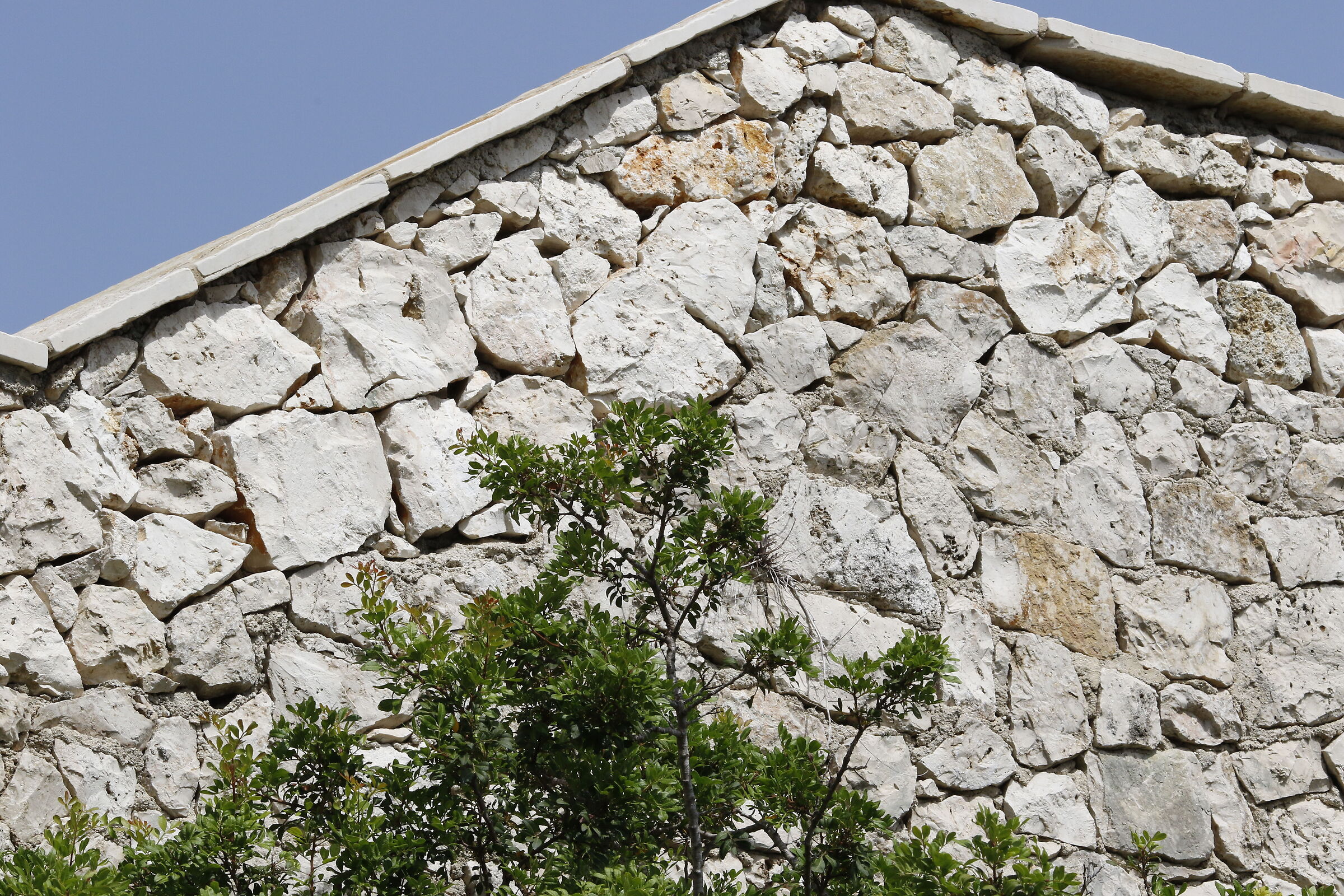 Canon 7d II / 135 F.2 L